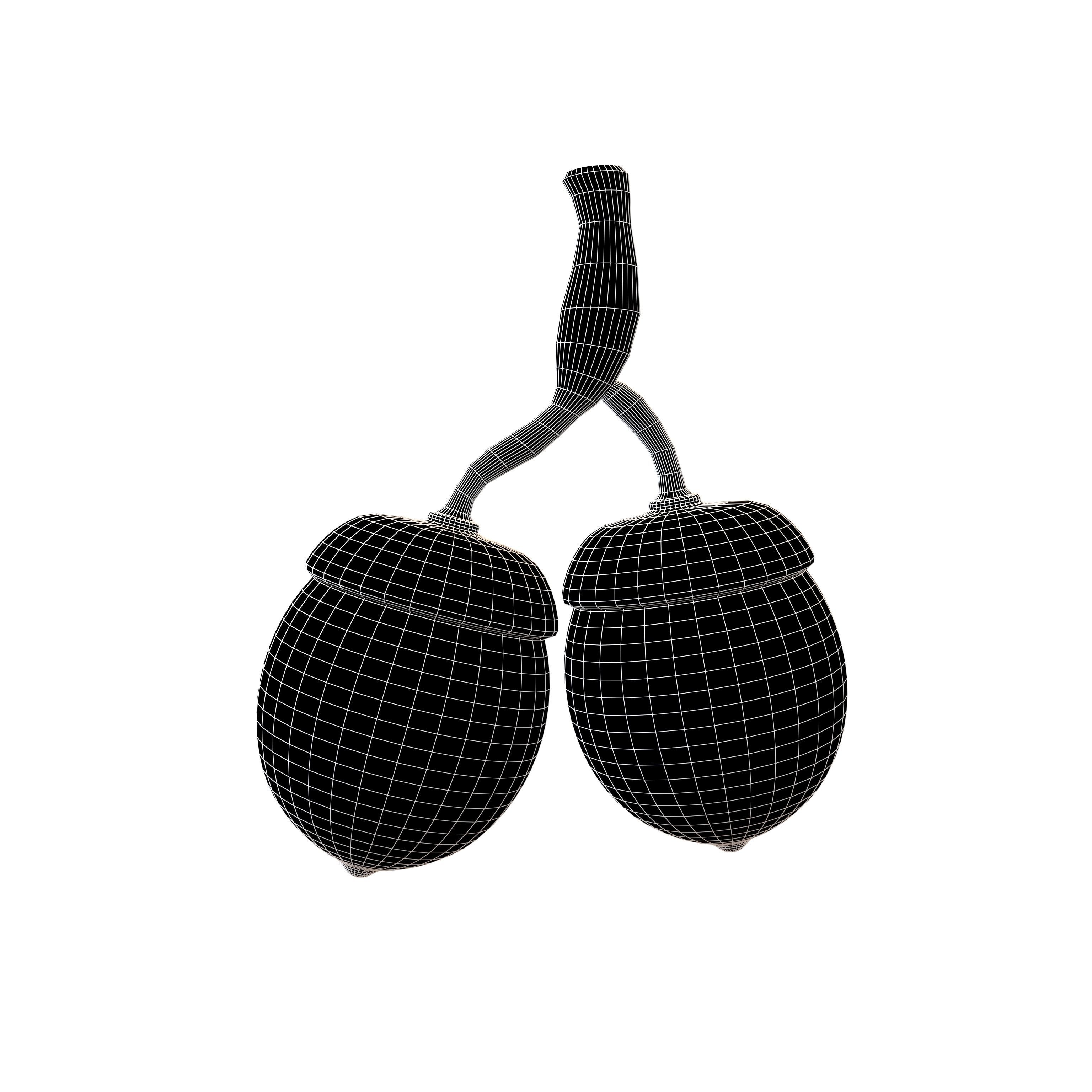 Acorn Fruit v1 003 Low-poly 3D model_5