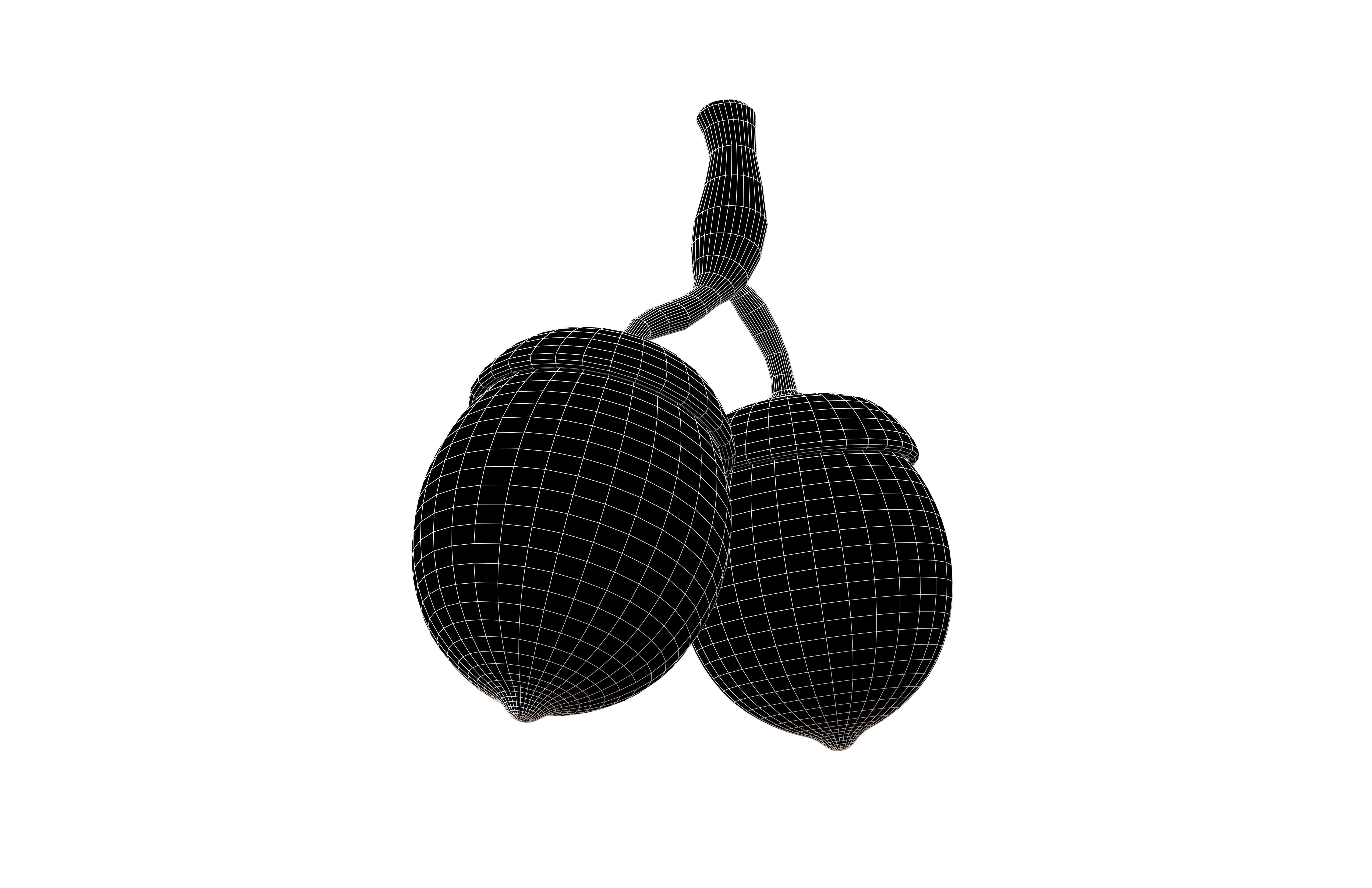 Acorn Fruit v1 004 Low-poly 3D model_7