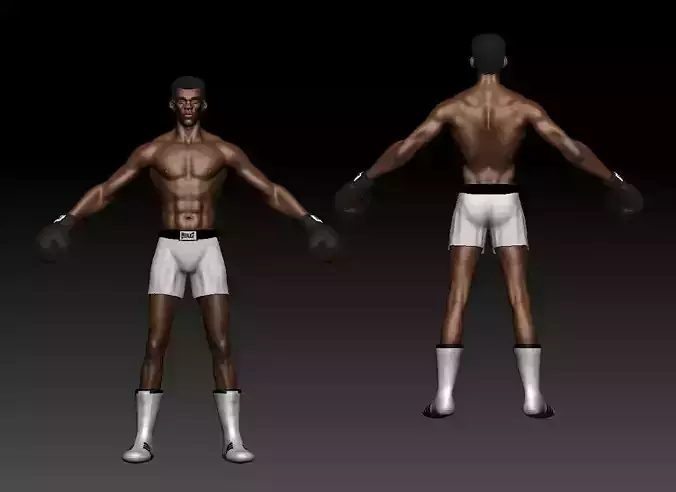 Muhammad Ali Stylized 3D model