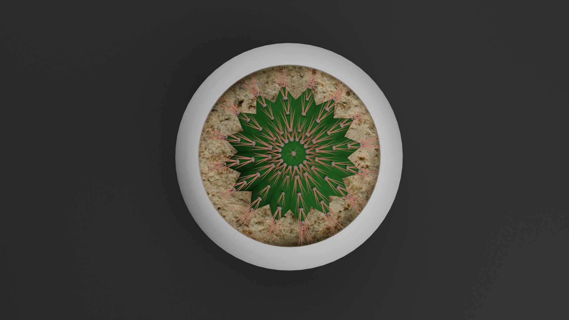Indoor Plant 3D Model Collection_22