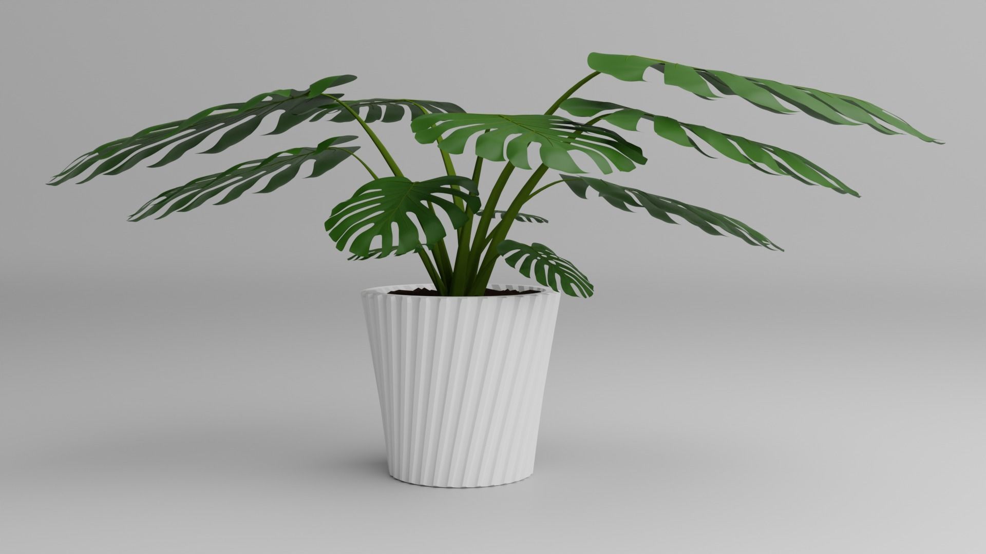 Indoor Plant 3D Model Collection_107