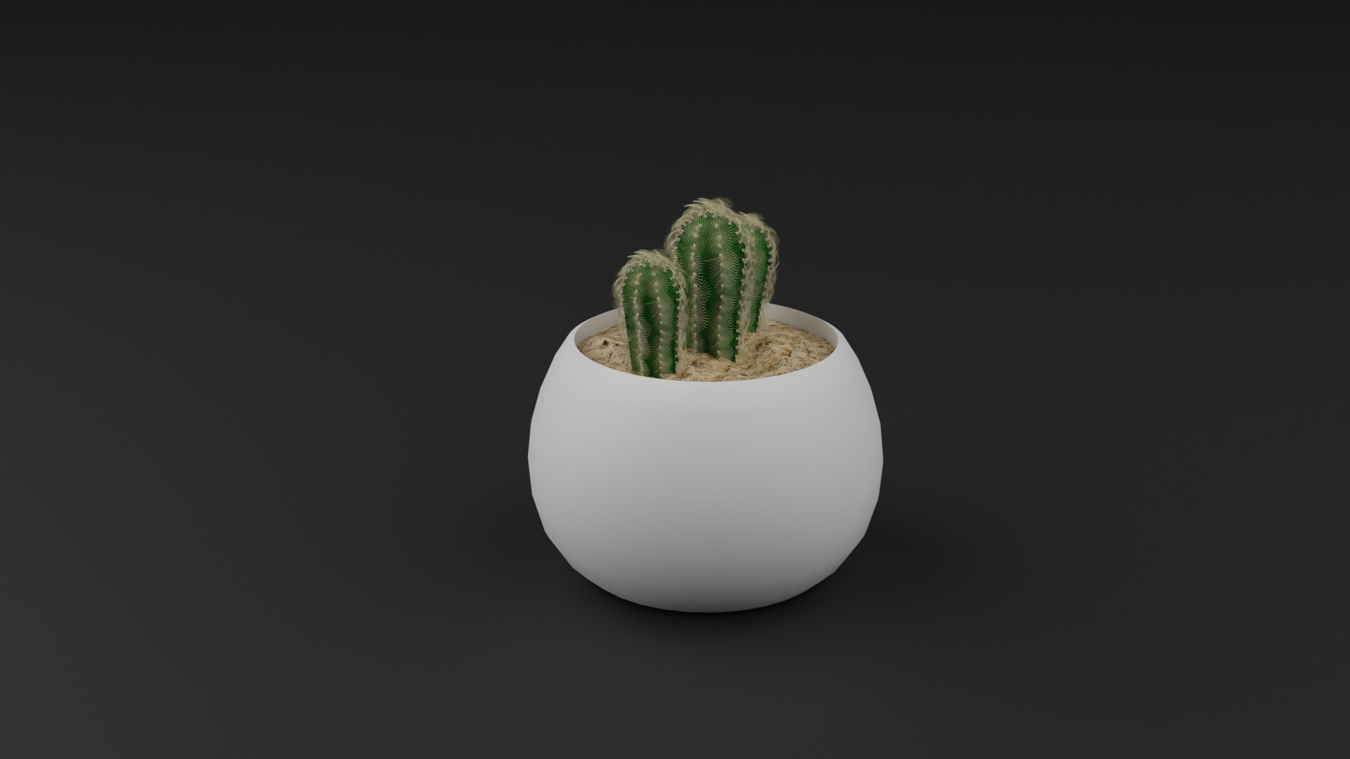 Indoor Plant 3D Model Collection_6