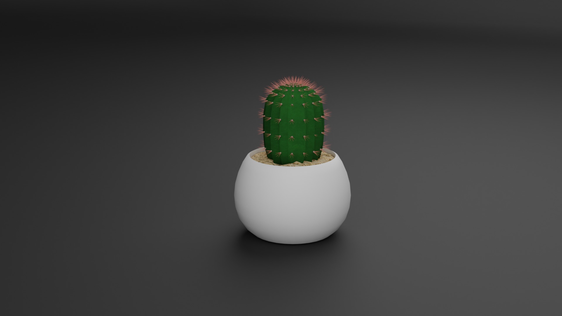 Indoor Plant 3D Model Collection_17
