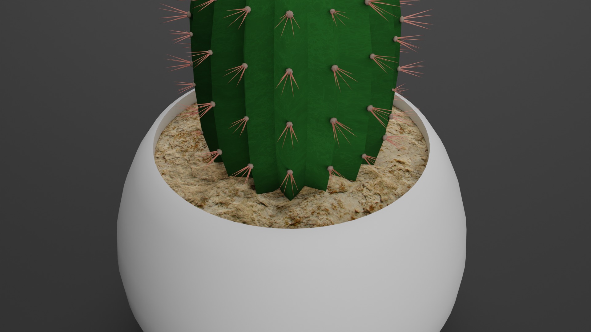Indoor Plant 3D Model Collection_21