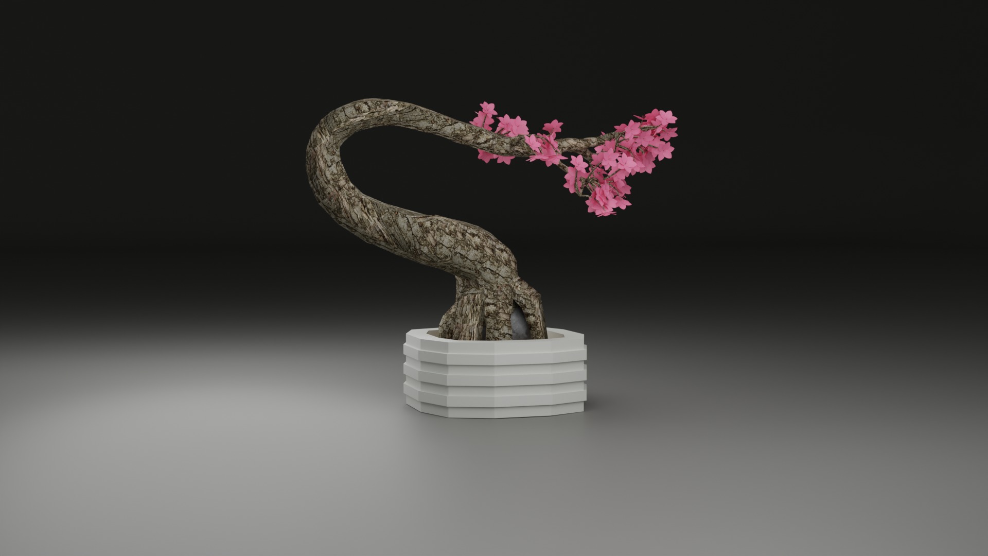 Indoor Plant 3D Model Collection_59