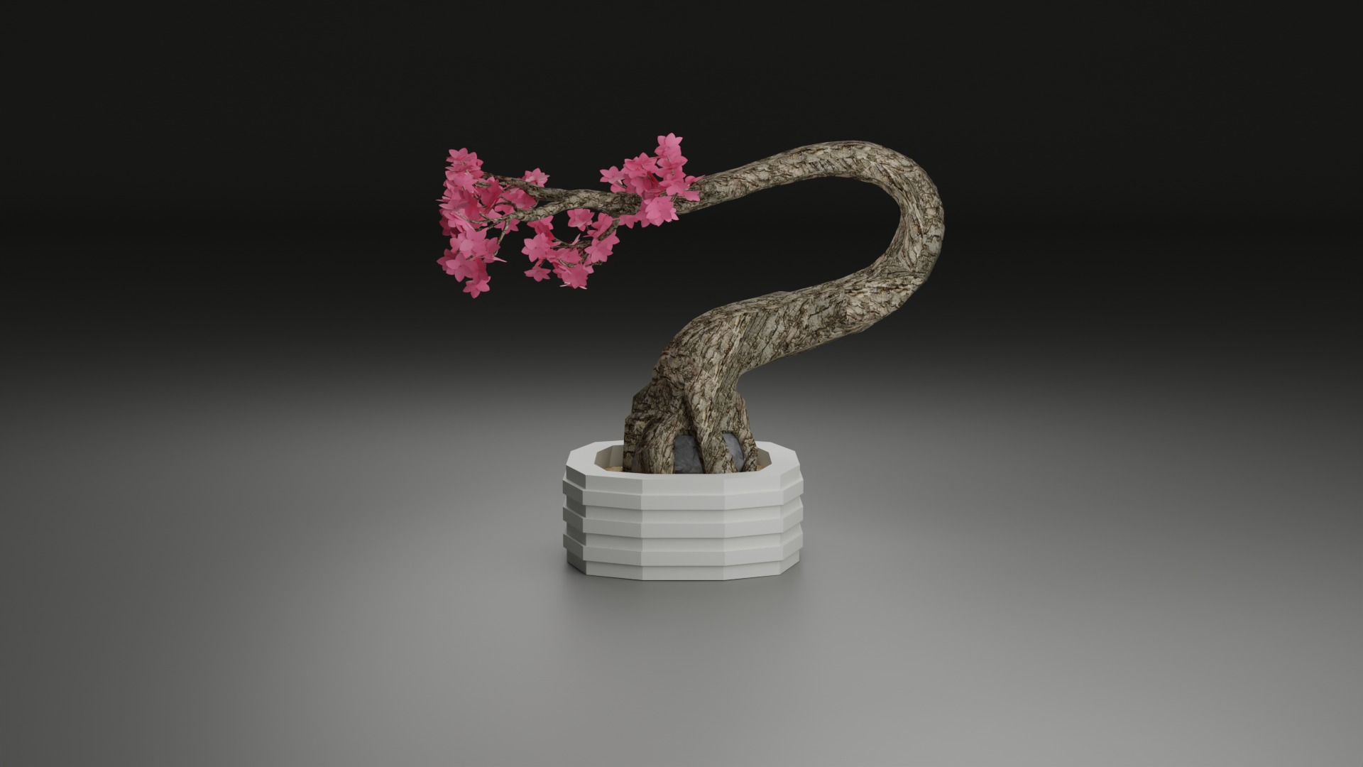 Indoor Plant 3D Model Collection_48