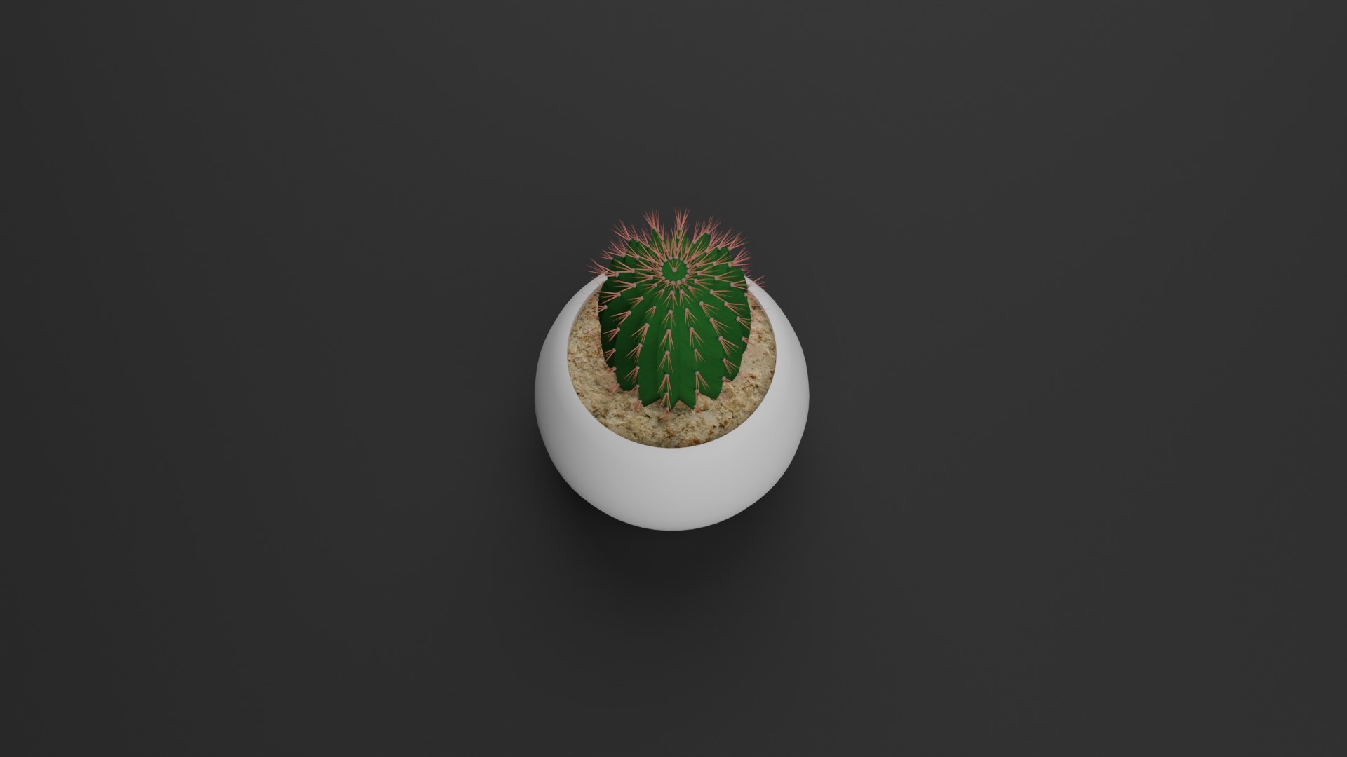 Indoor Plant 3D Model Collection_19