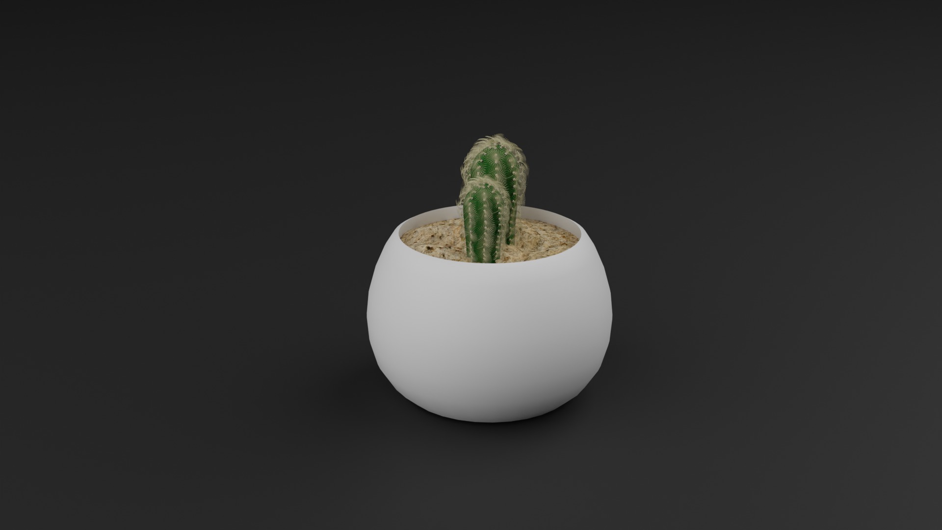 Indoor Plant 3D Model Collection_5