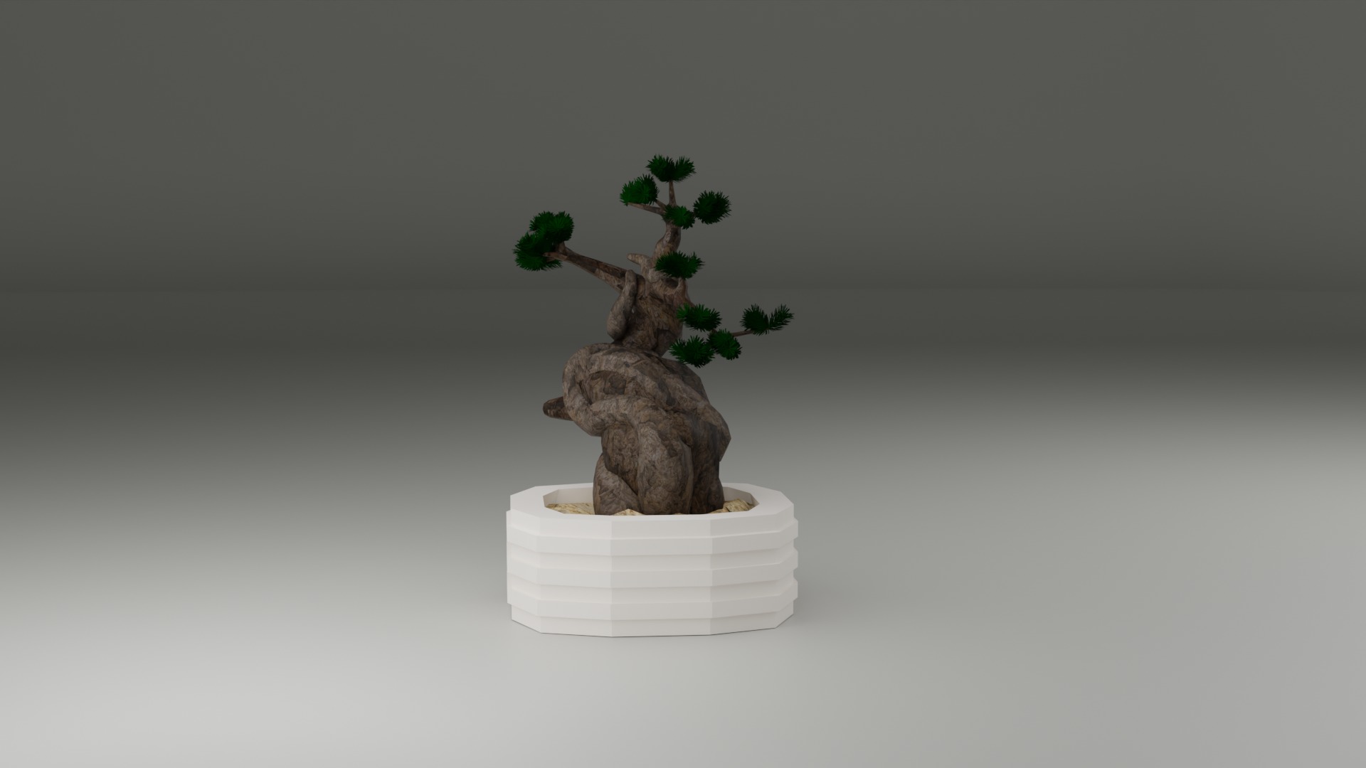 Indoor Plant 3D Model Collection_95