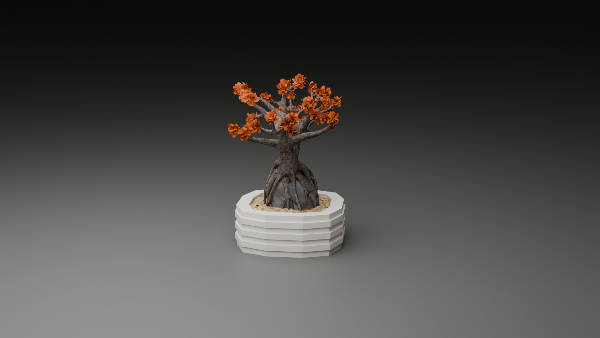 Indoor Plant 3D Model Collection_78