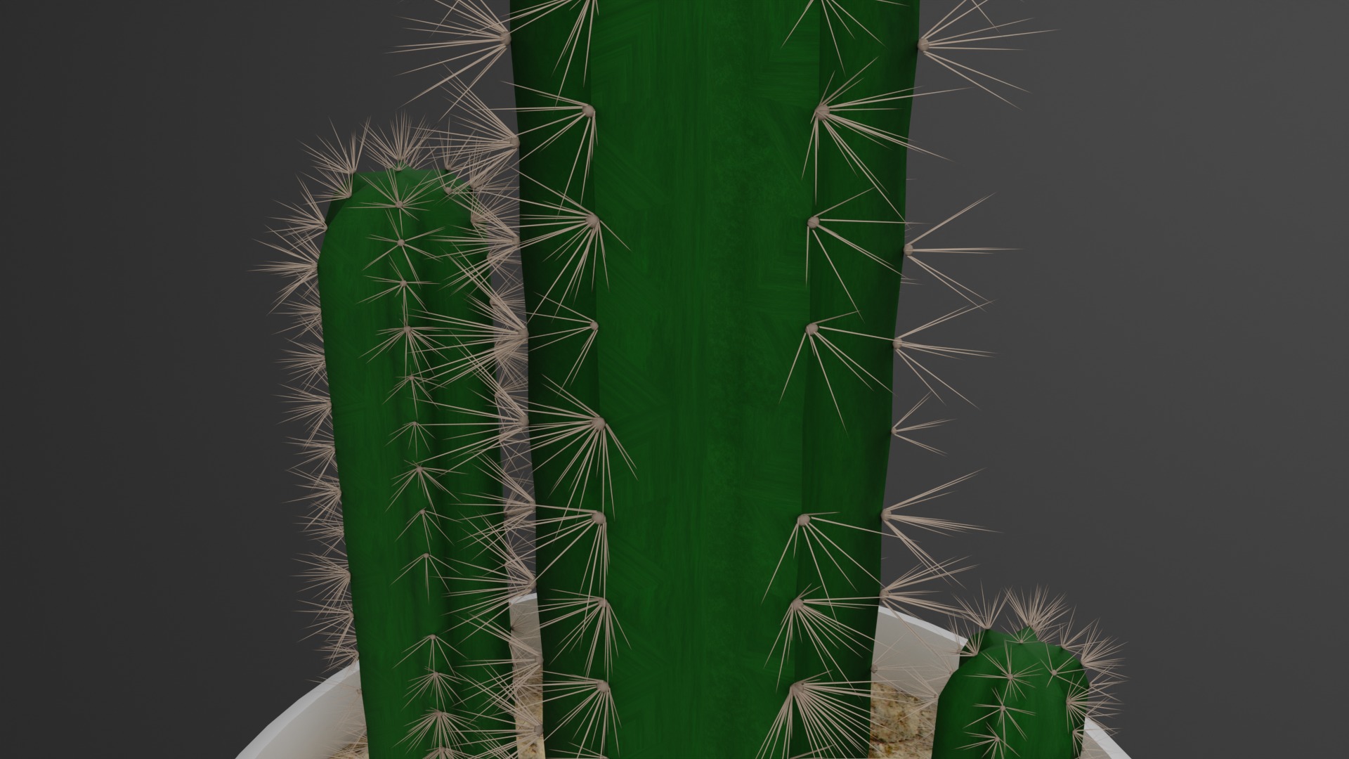 Indoor Plant 3D Model Collection_41