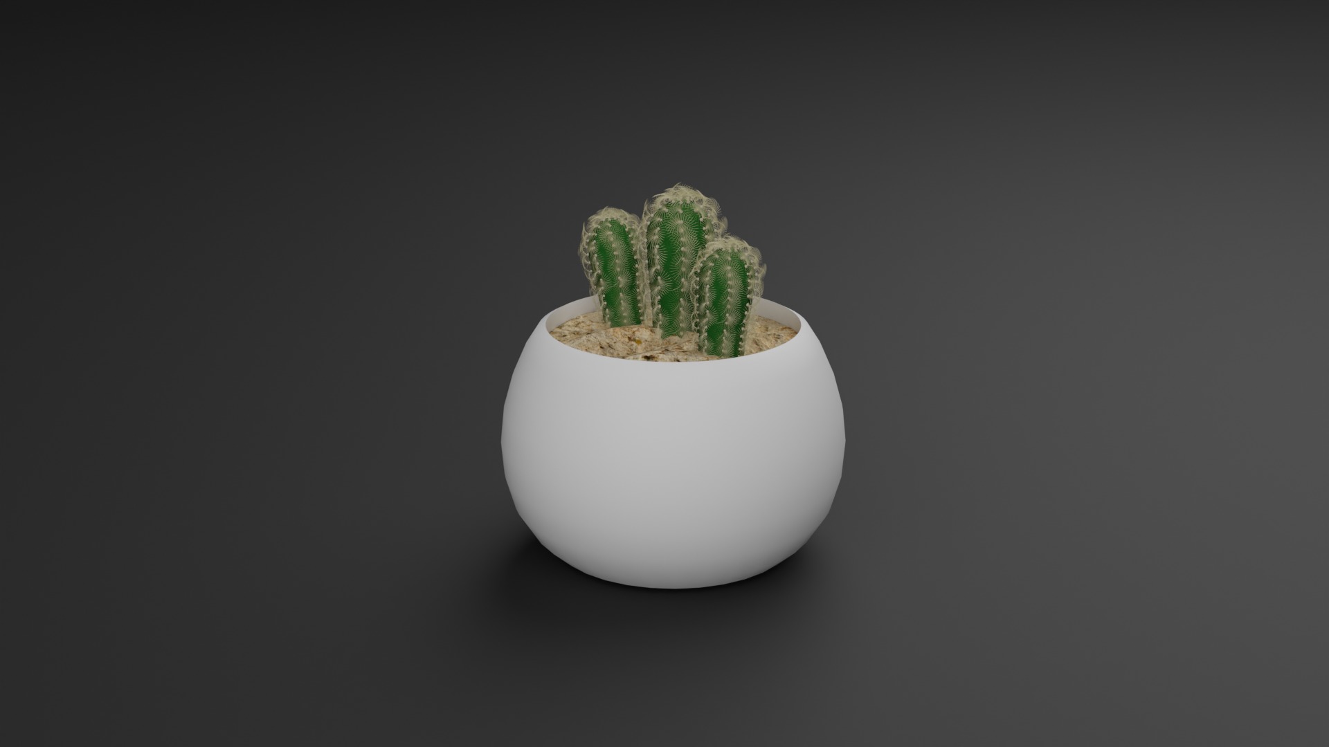 Indoor Plant 3D Model Collection_3