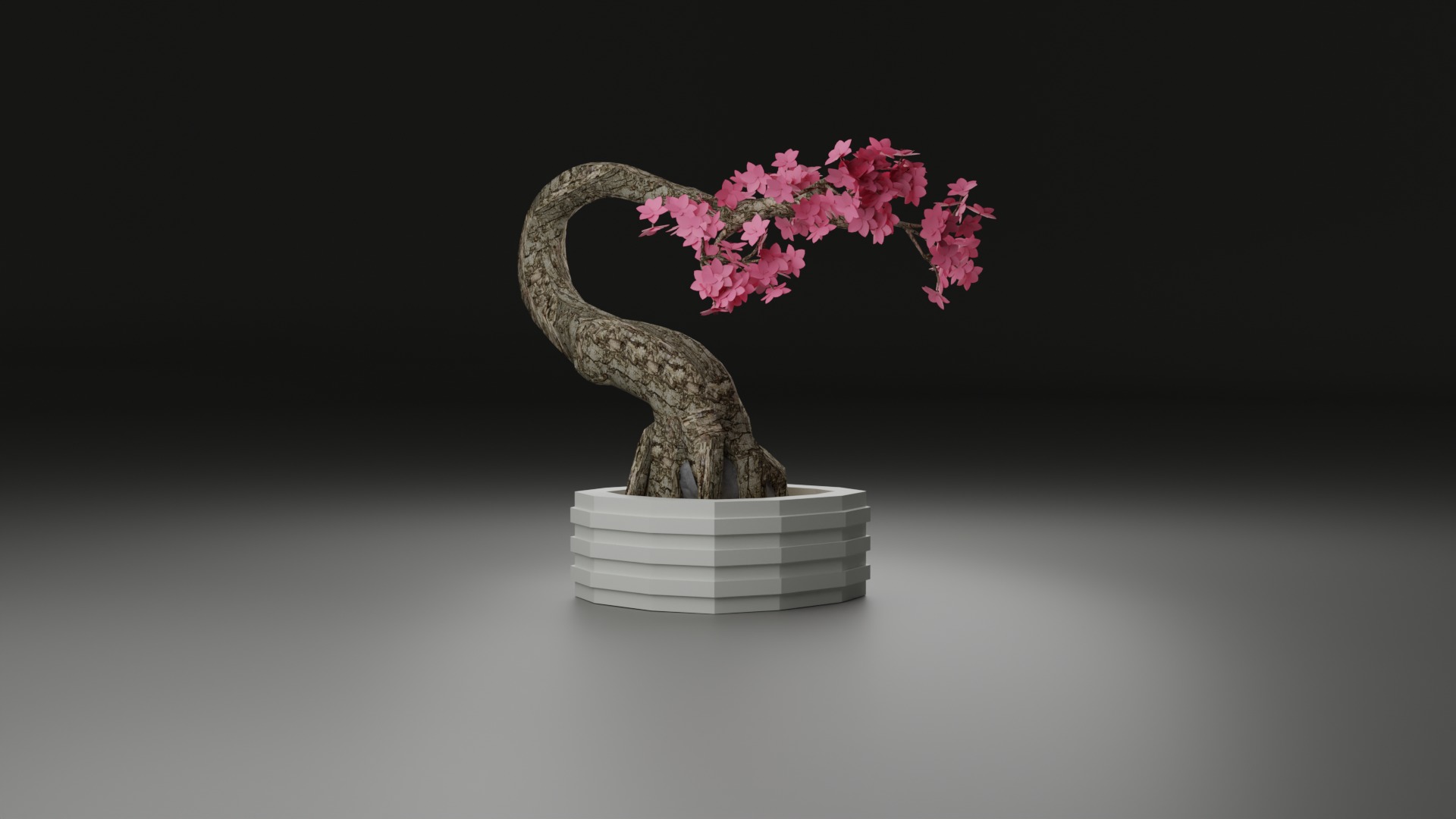 Indoor Plant 3D Model Collection_56