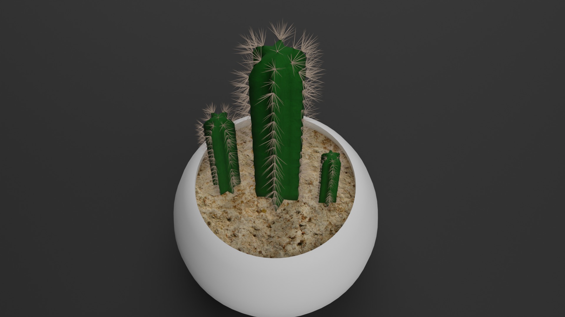 Indoor Plant 3D Model Collection_39