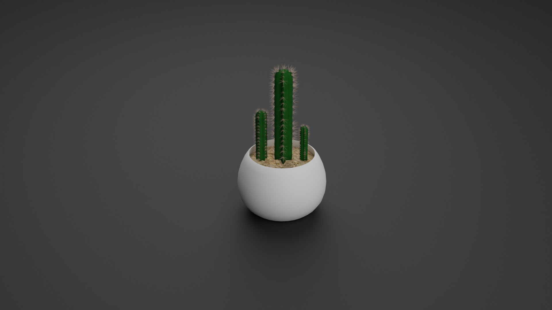 Indoor Plant 3D Model Collection_29