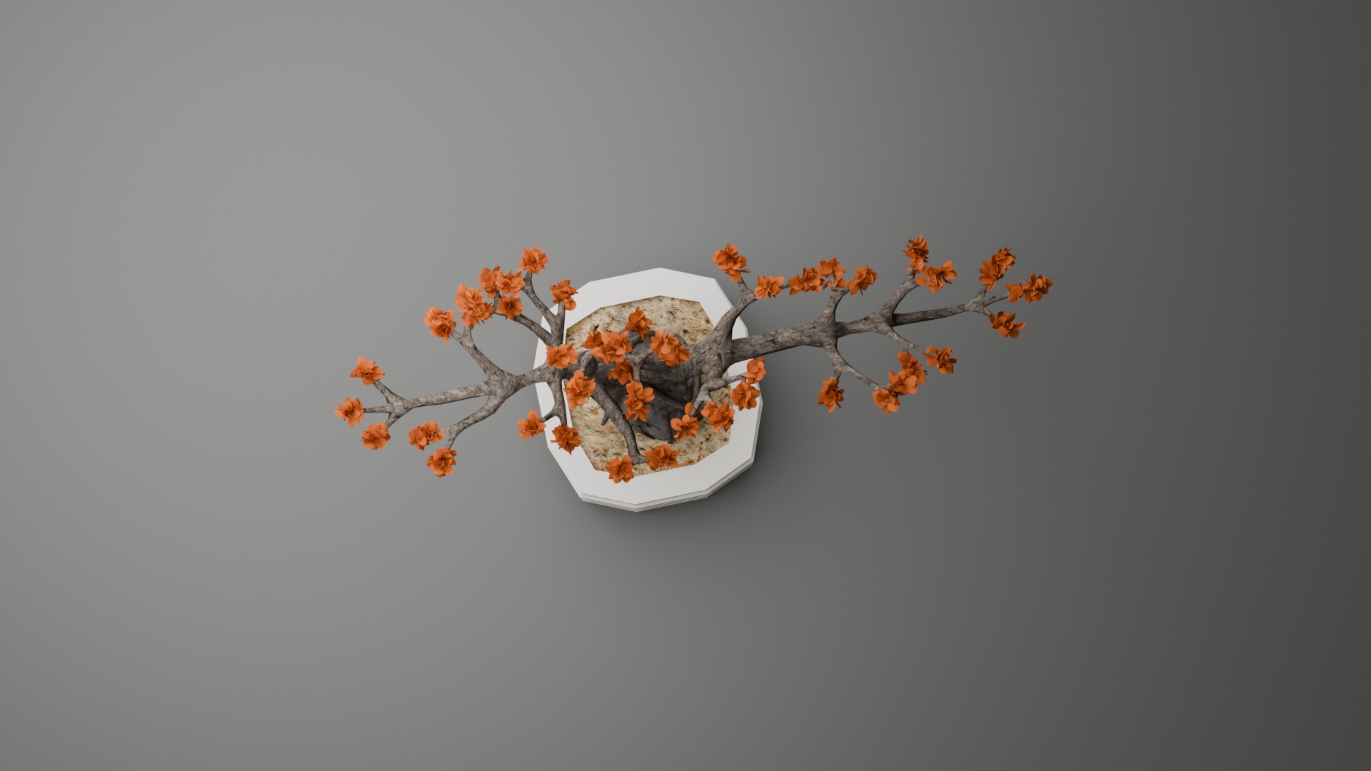 Indoor Plant 3D Model Collection_82