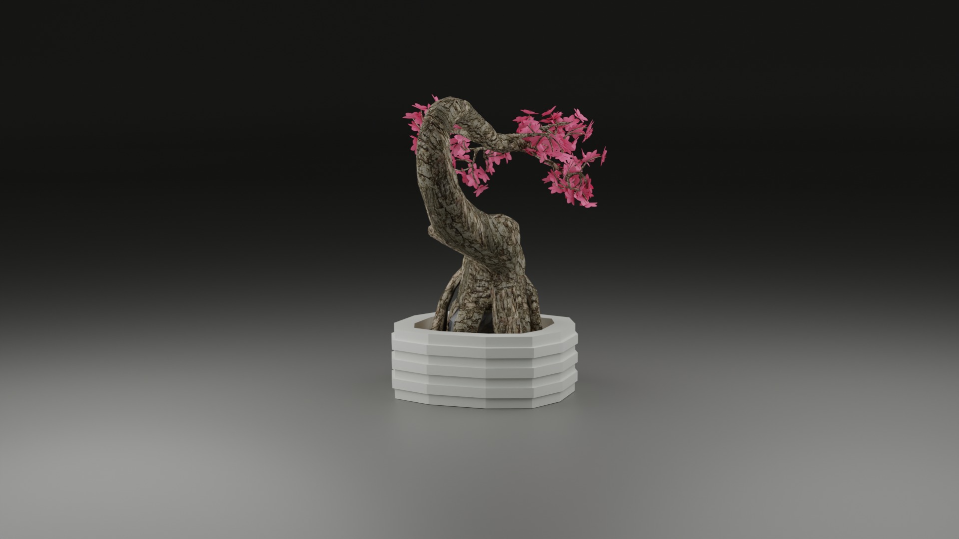 Indoor Plant 3D Model Collection_54