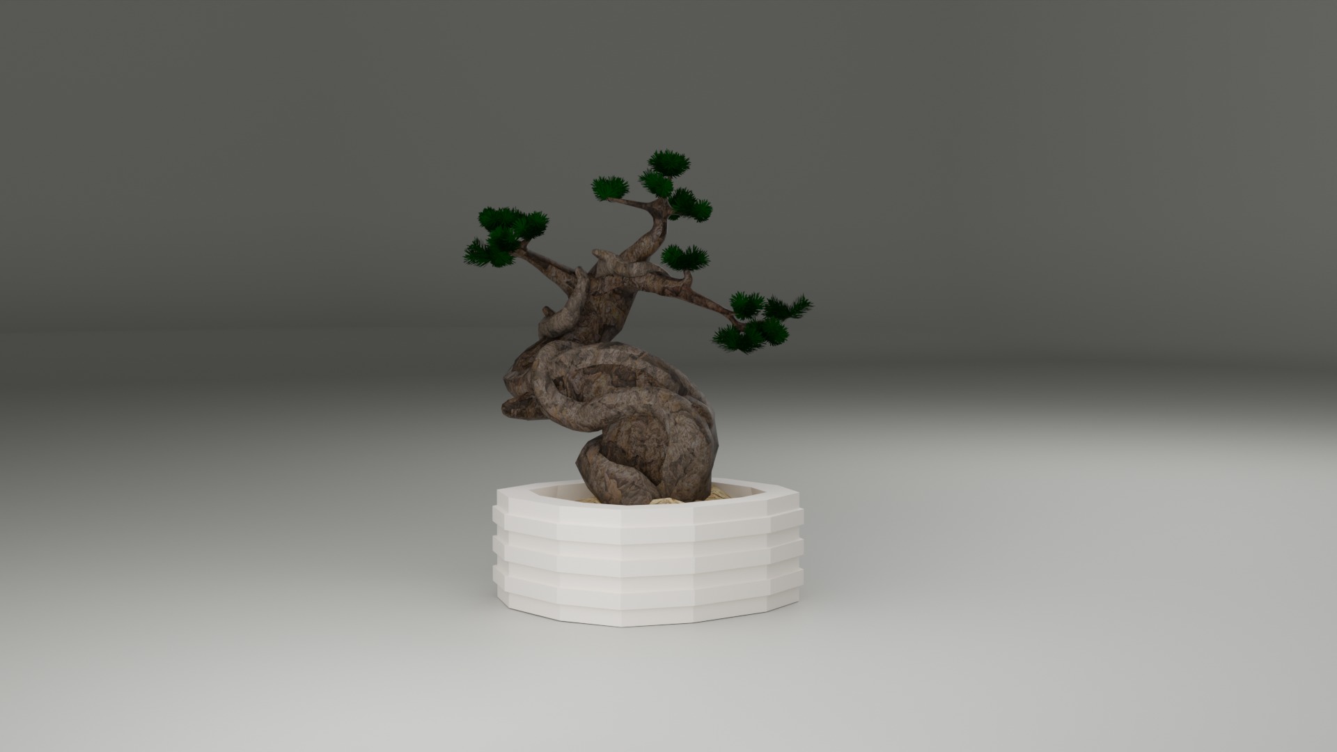 Indoor Plant 3D Model Collection_94