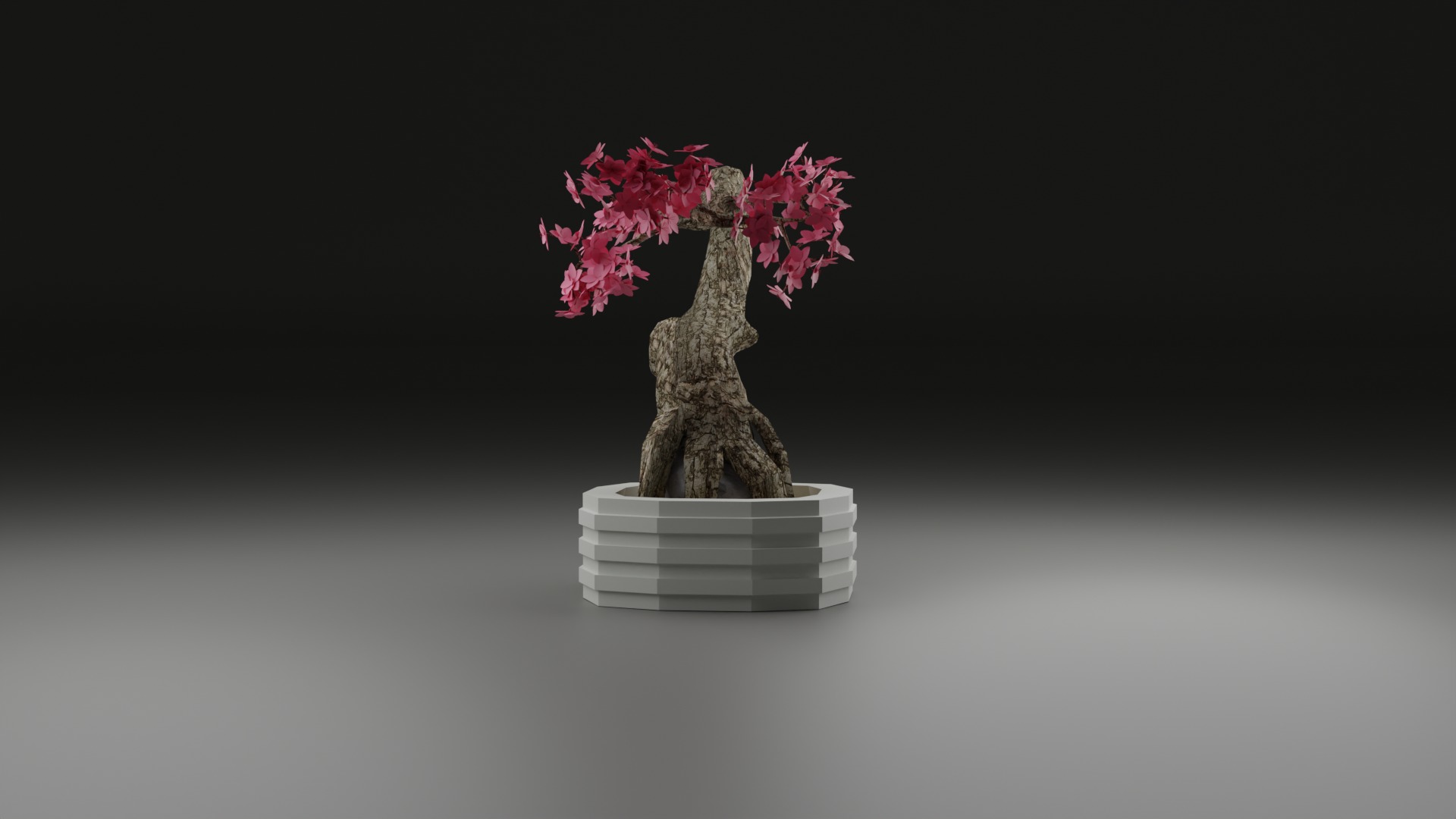 Indoor Plant 3D Model Collection_55