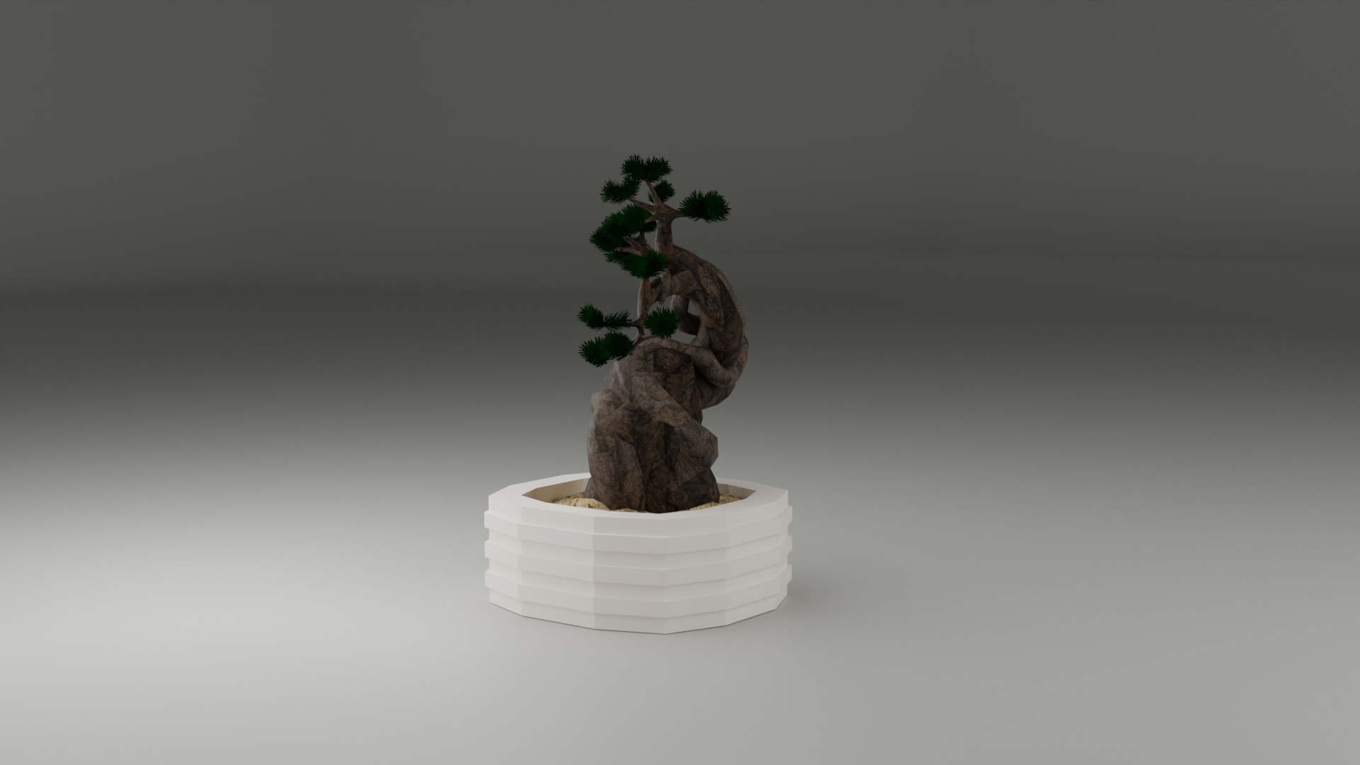 Indoor Plant 3D Model Collection_96