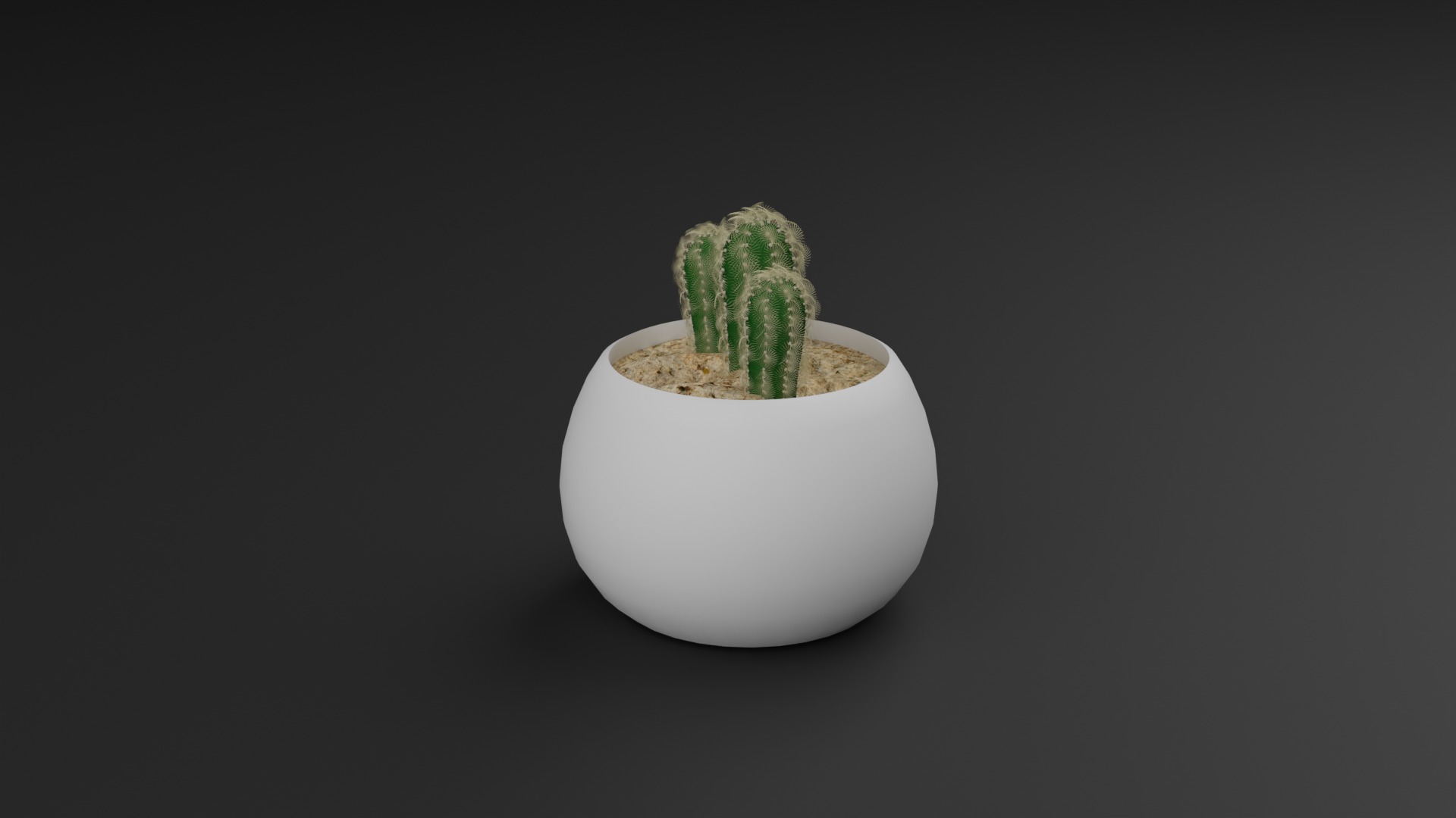 Indoor Plant 3D Model Collection_4