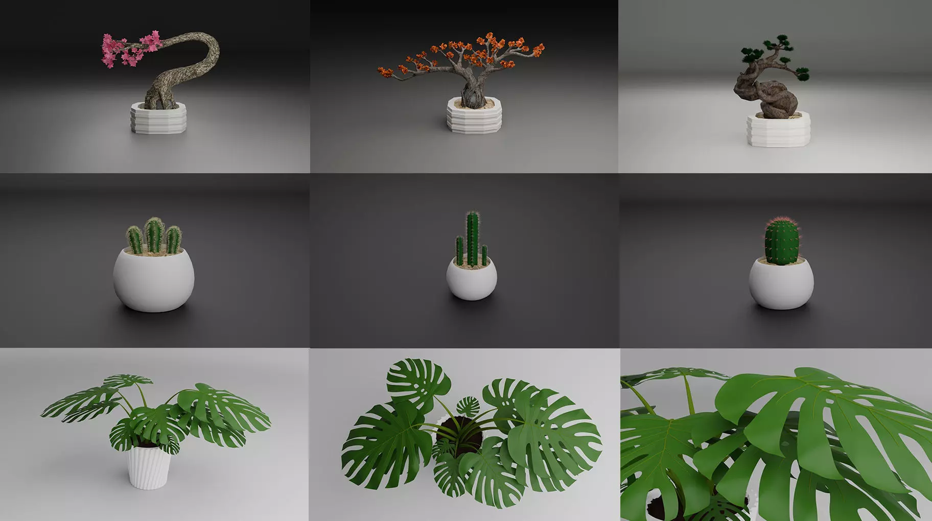 Indoor Plant 3D Model Collection_0