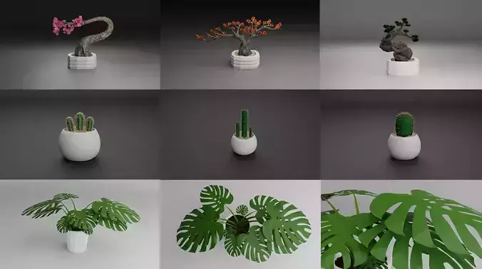 Indoor Plant 3D Model Collection