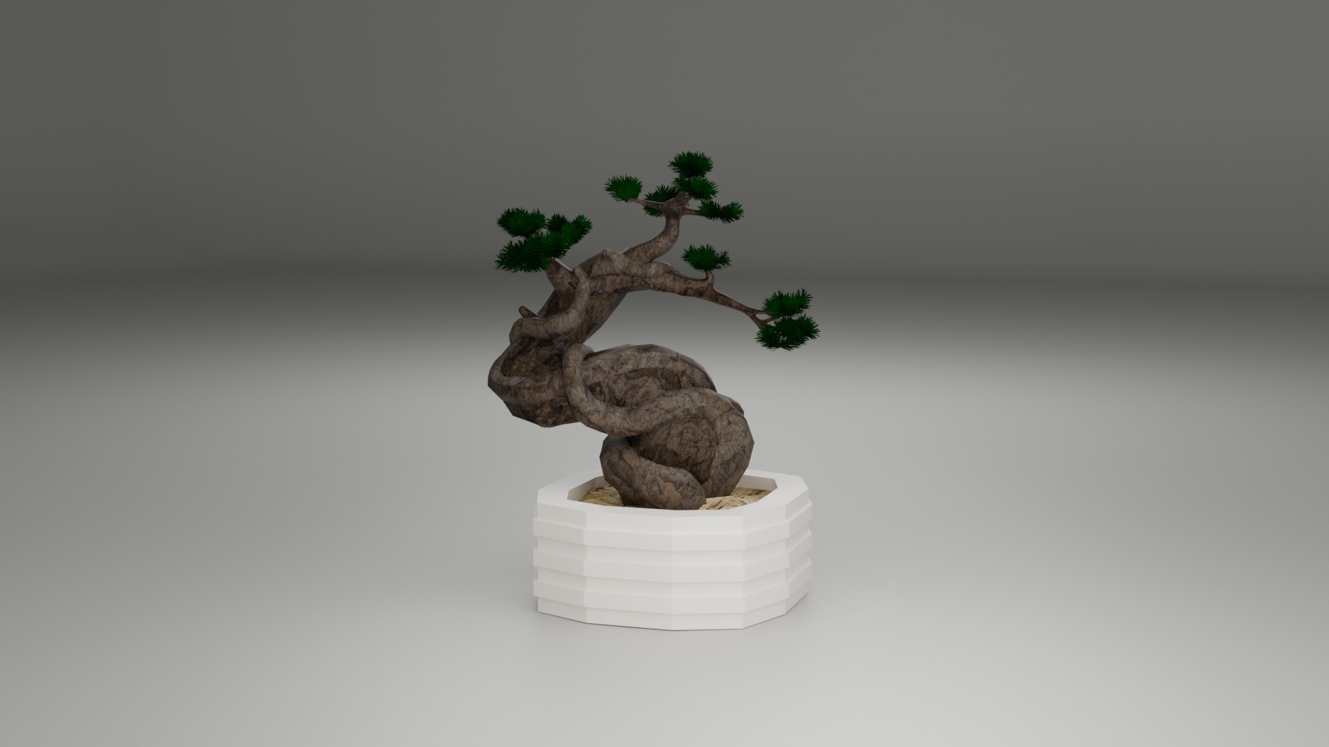 Indoor Plant 3D Model Collection_92