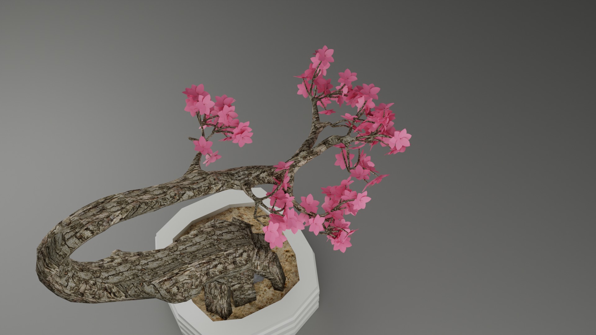 Indoor Plant 3D Model Collection_64