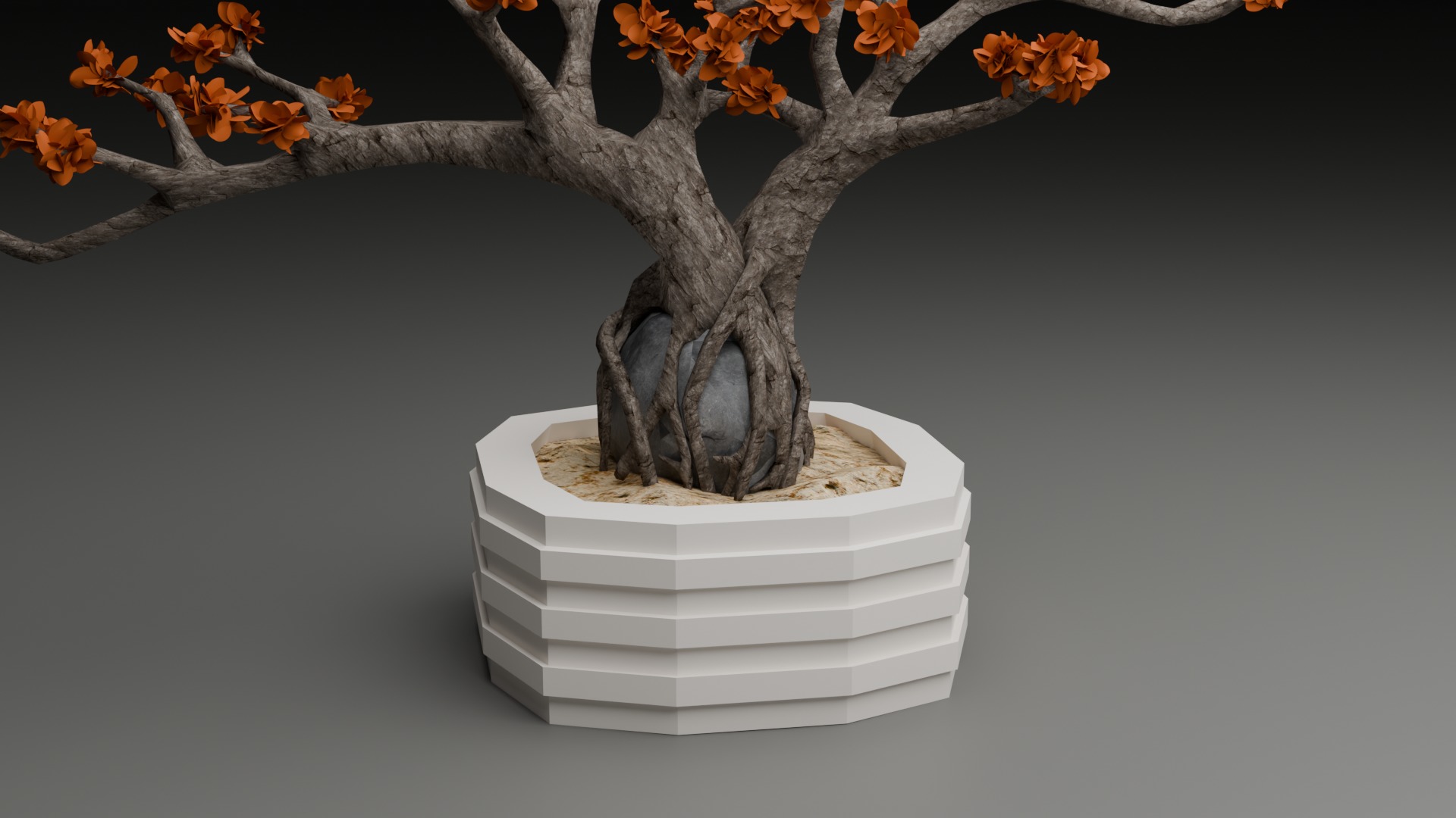 Indoor Plant 3D Model Collection_84