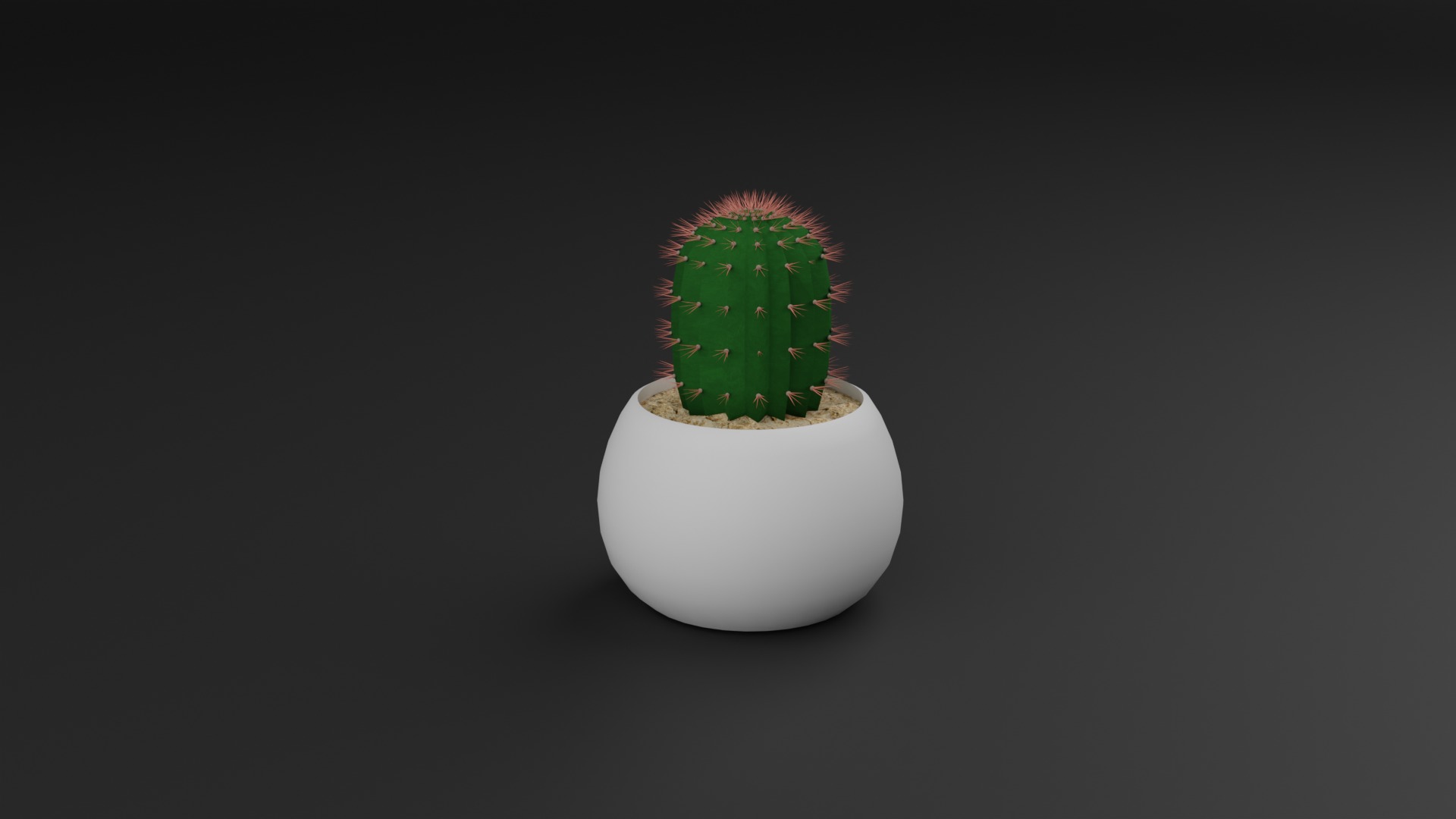 Indoor Plant 3D Model Collection_18