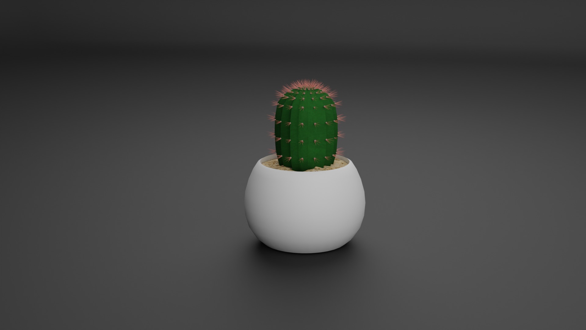 Indoor Plant 3D Model Collection_16