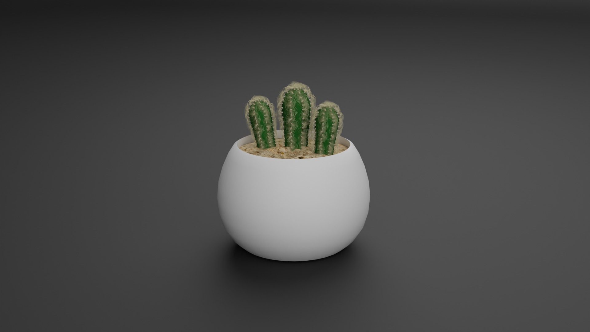 Indoor Plant 3D Model Collection_2