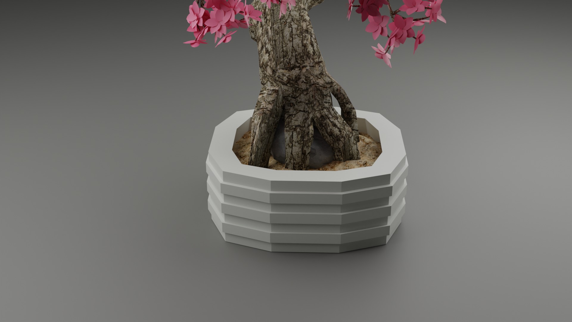 Indoor Plant 3D Model Collection_66