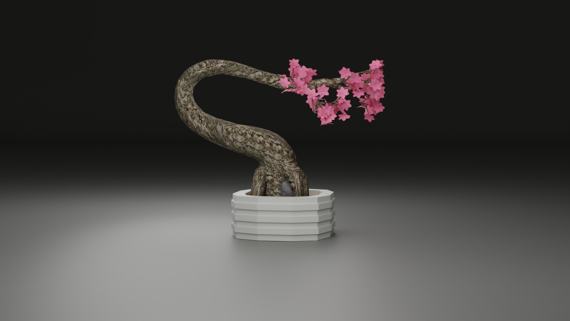 Indoor Plant 3D Model Collection_60