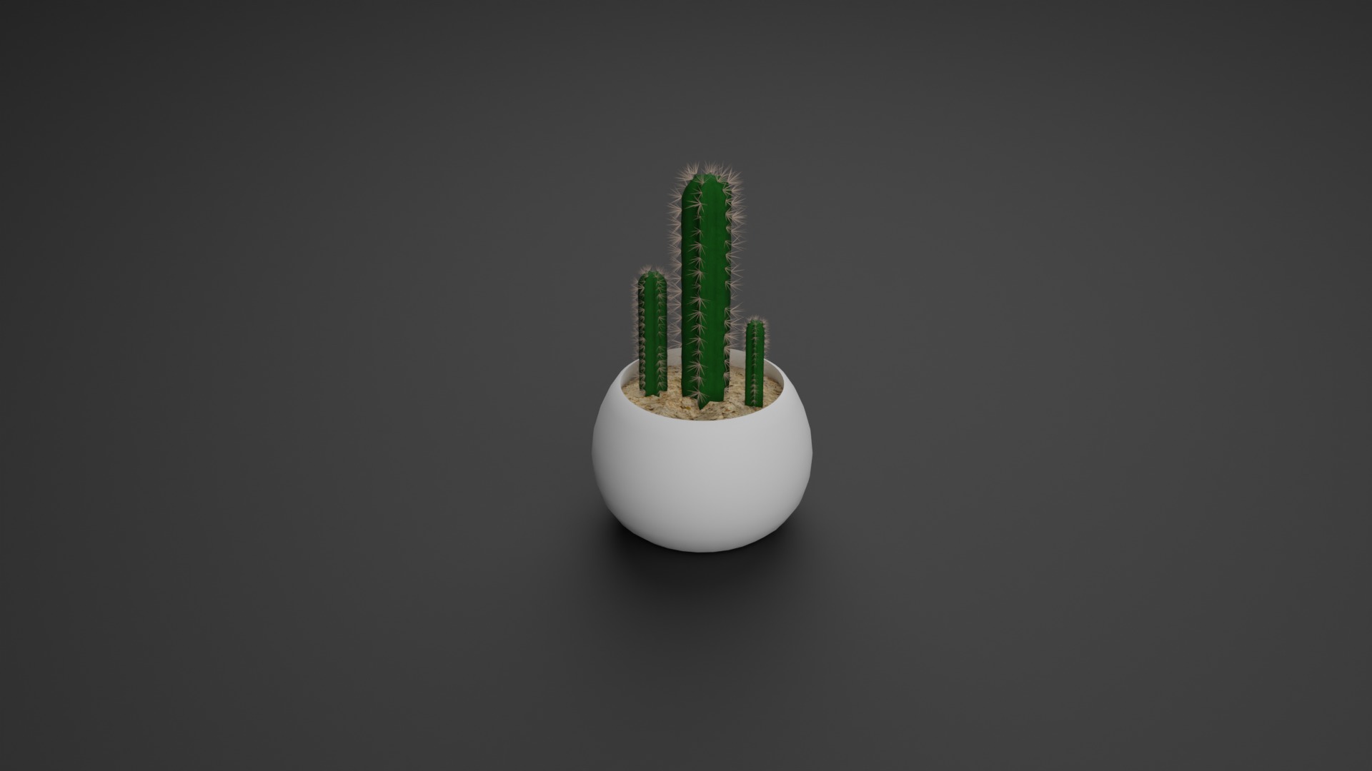 Indoor Plant 3D Model Collection_30