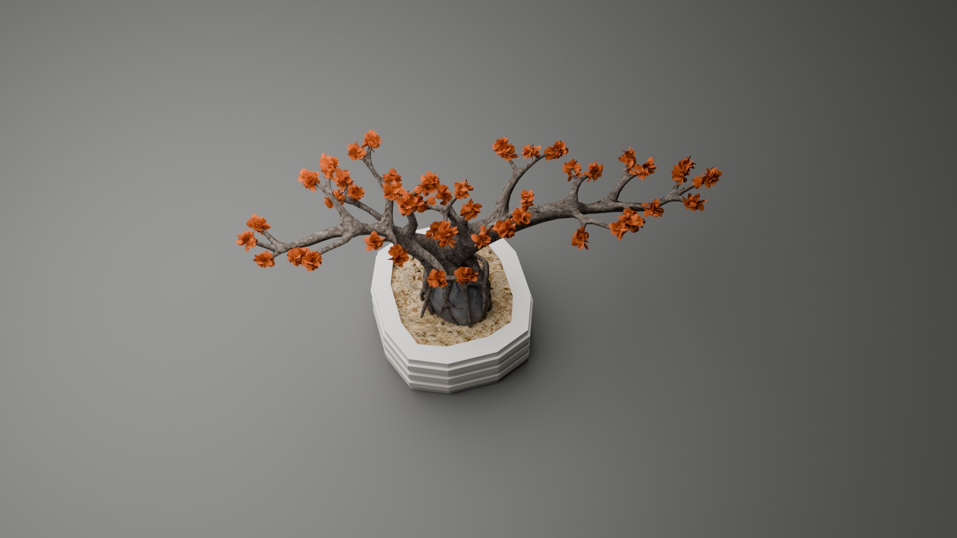 Indoor Plant 3D Model Collection_81