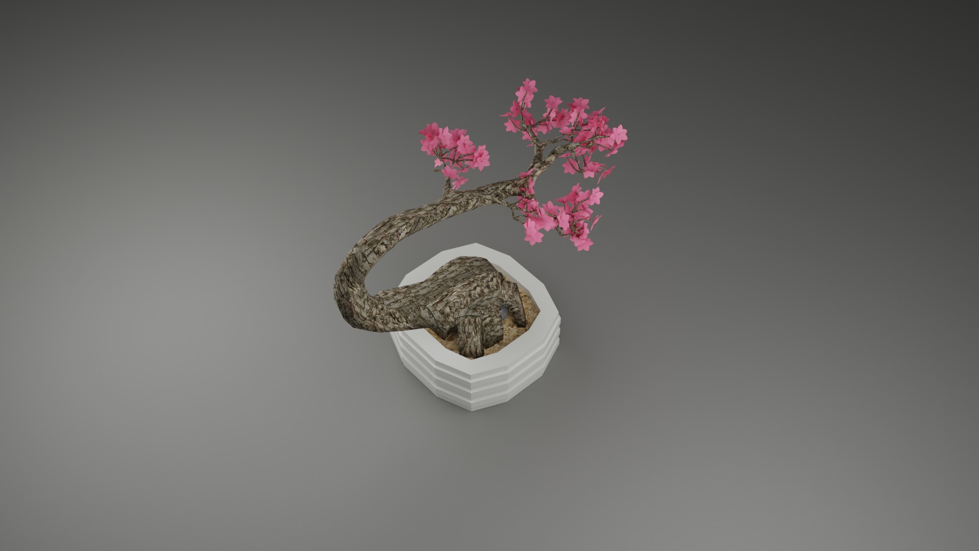 Indoor Plant 3D Model Collection_62