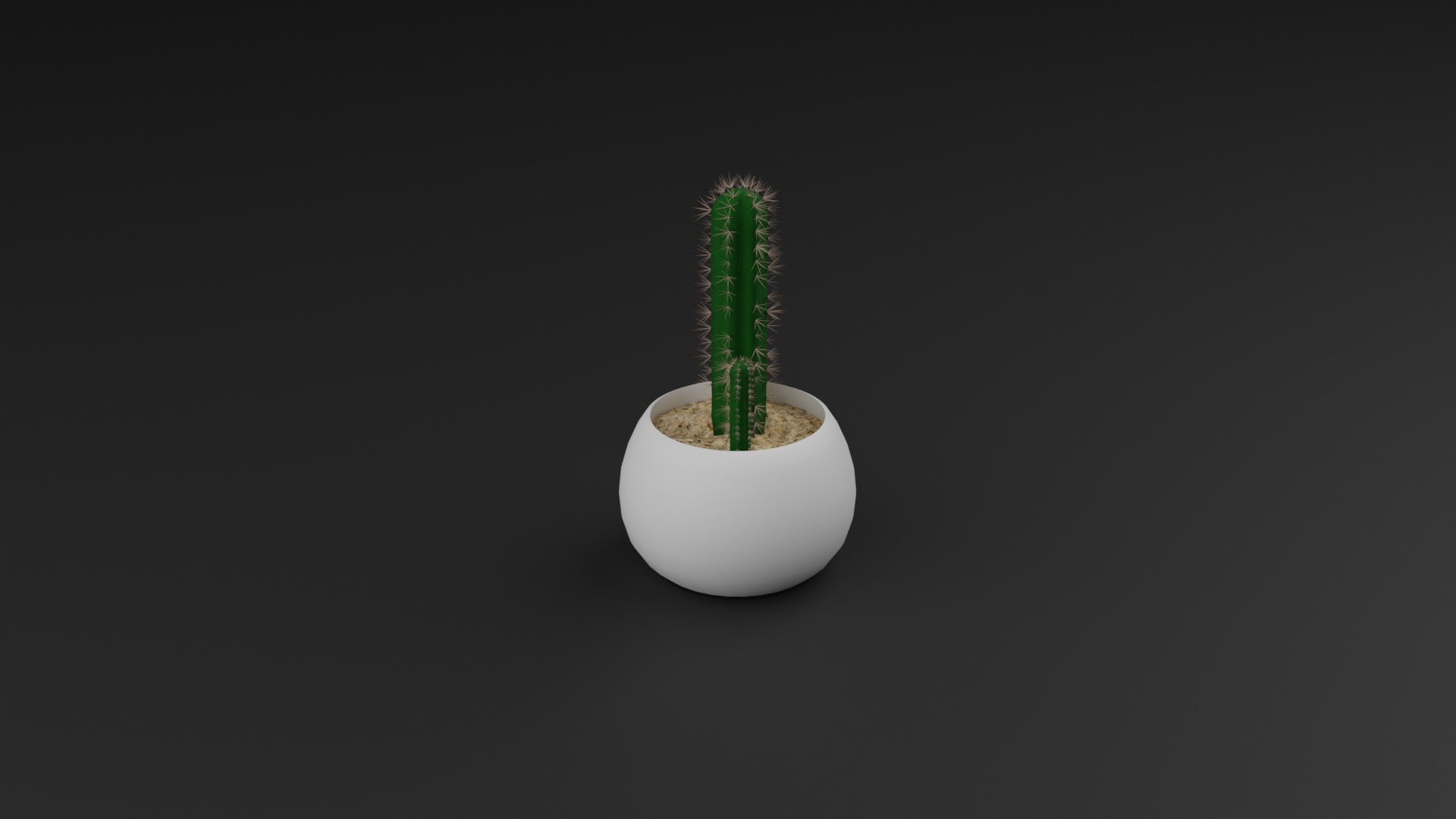 Indoor Plant 3D Model Collection_32