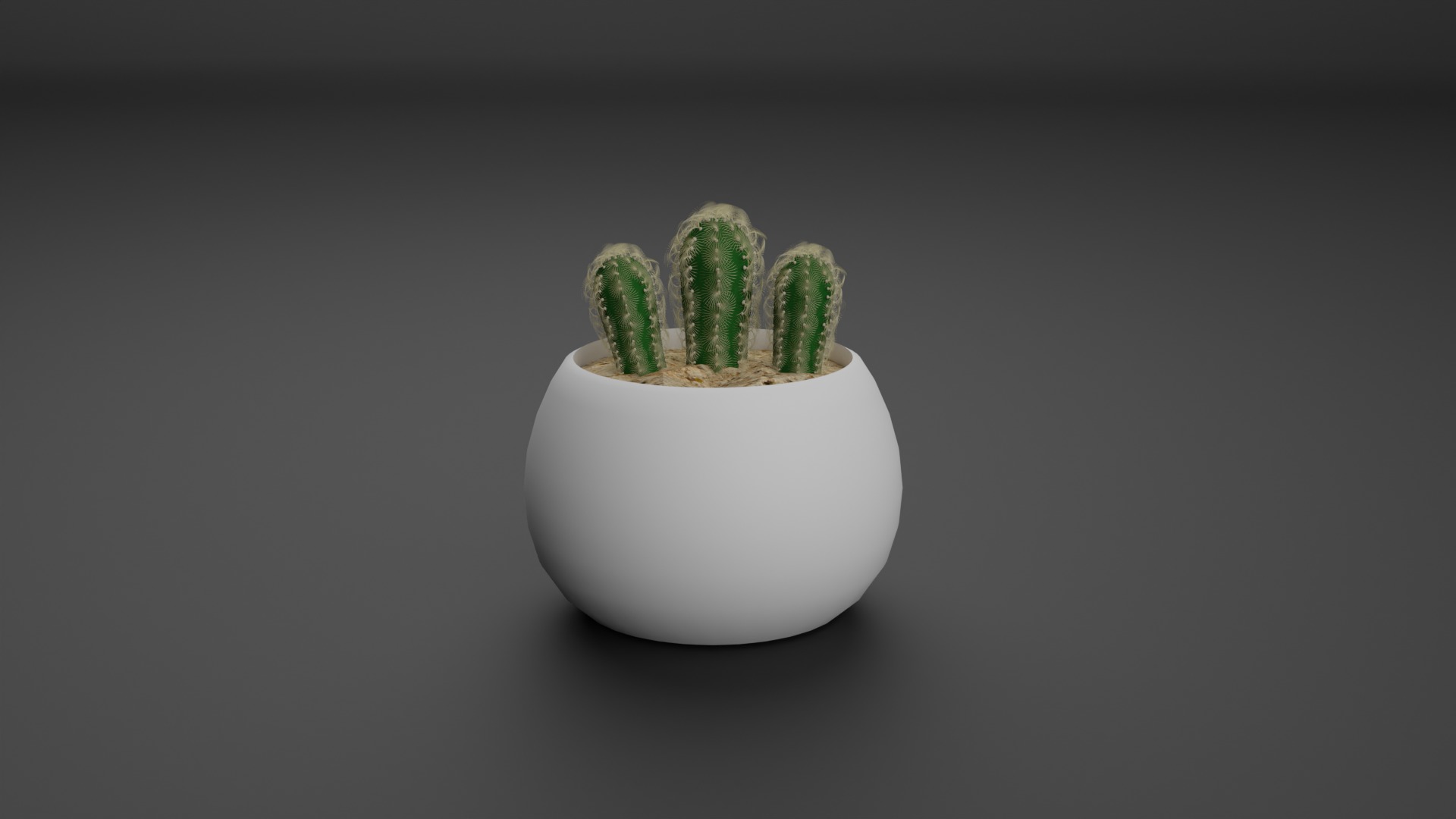 Indoor Plant 3D Model Collection_1