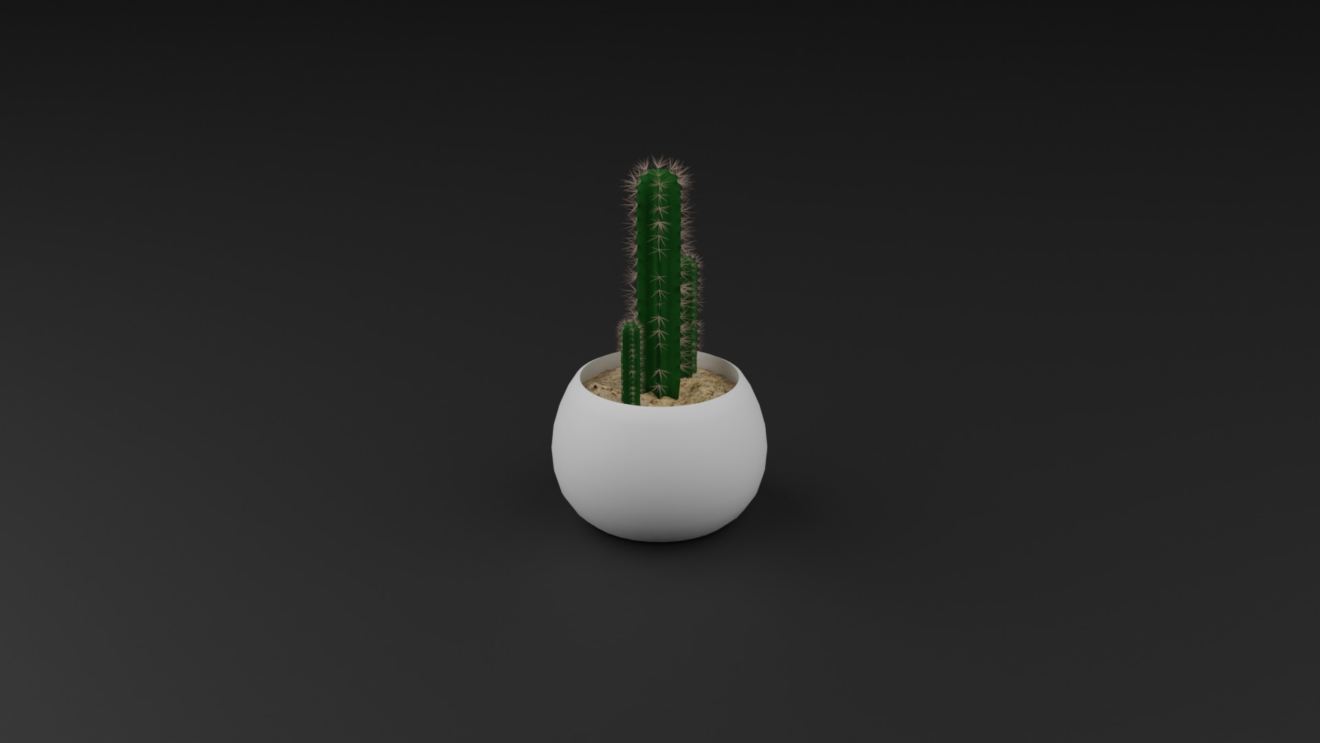 Indoor Plant 3D Model Collection_33