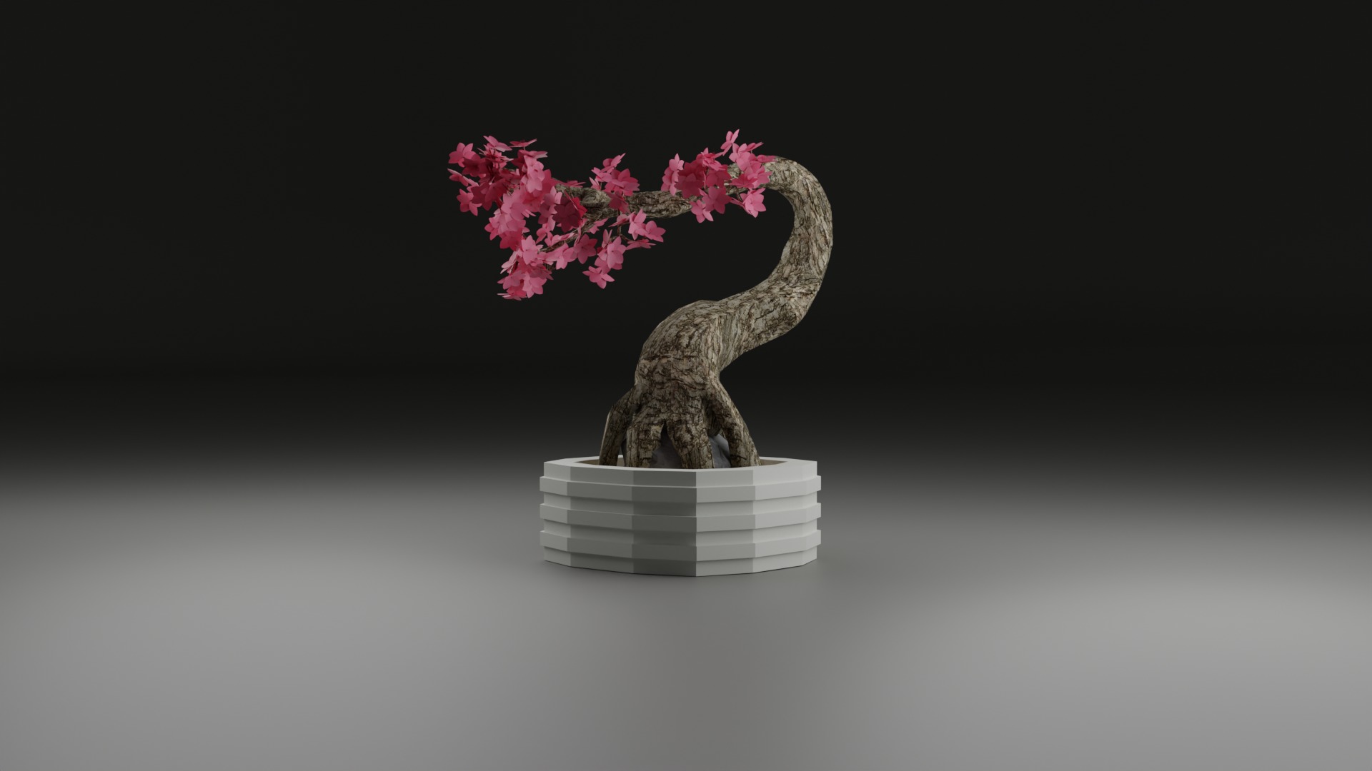 Indoor Plant 3D Model Collection_61