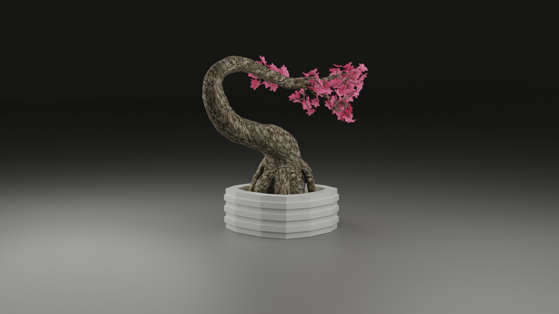 Indoor Plant 3D Model Collection_58