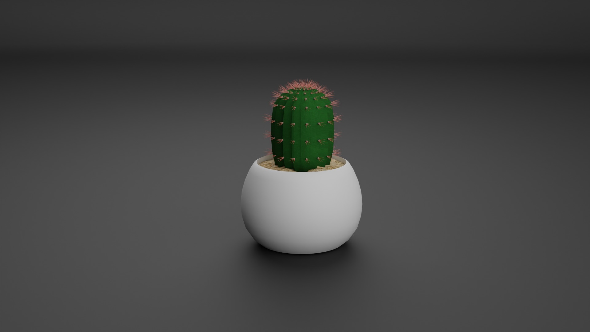 Indoor Plant 3D Model Collection_15