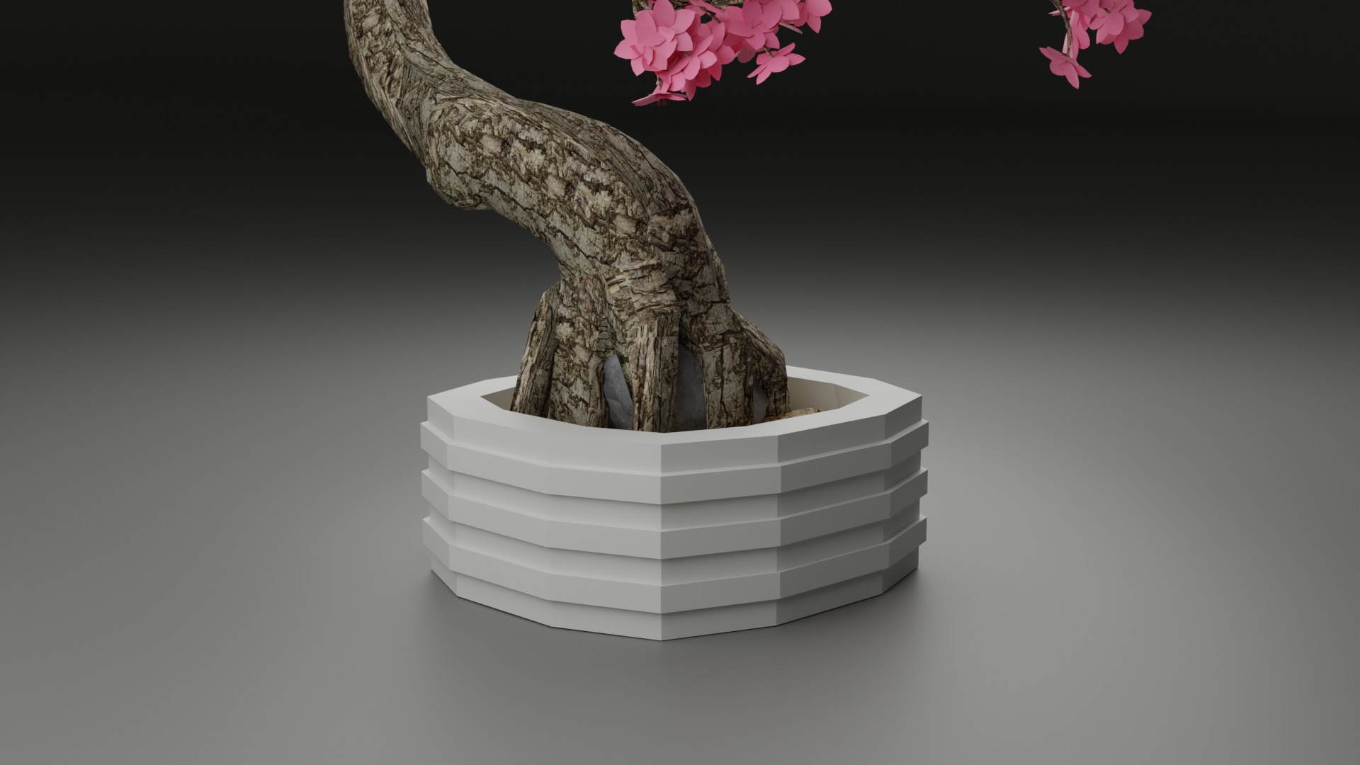 Indoor Plant 3D Model Collection_65