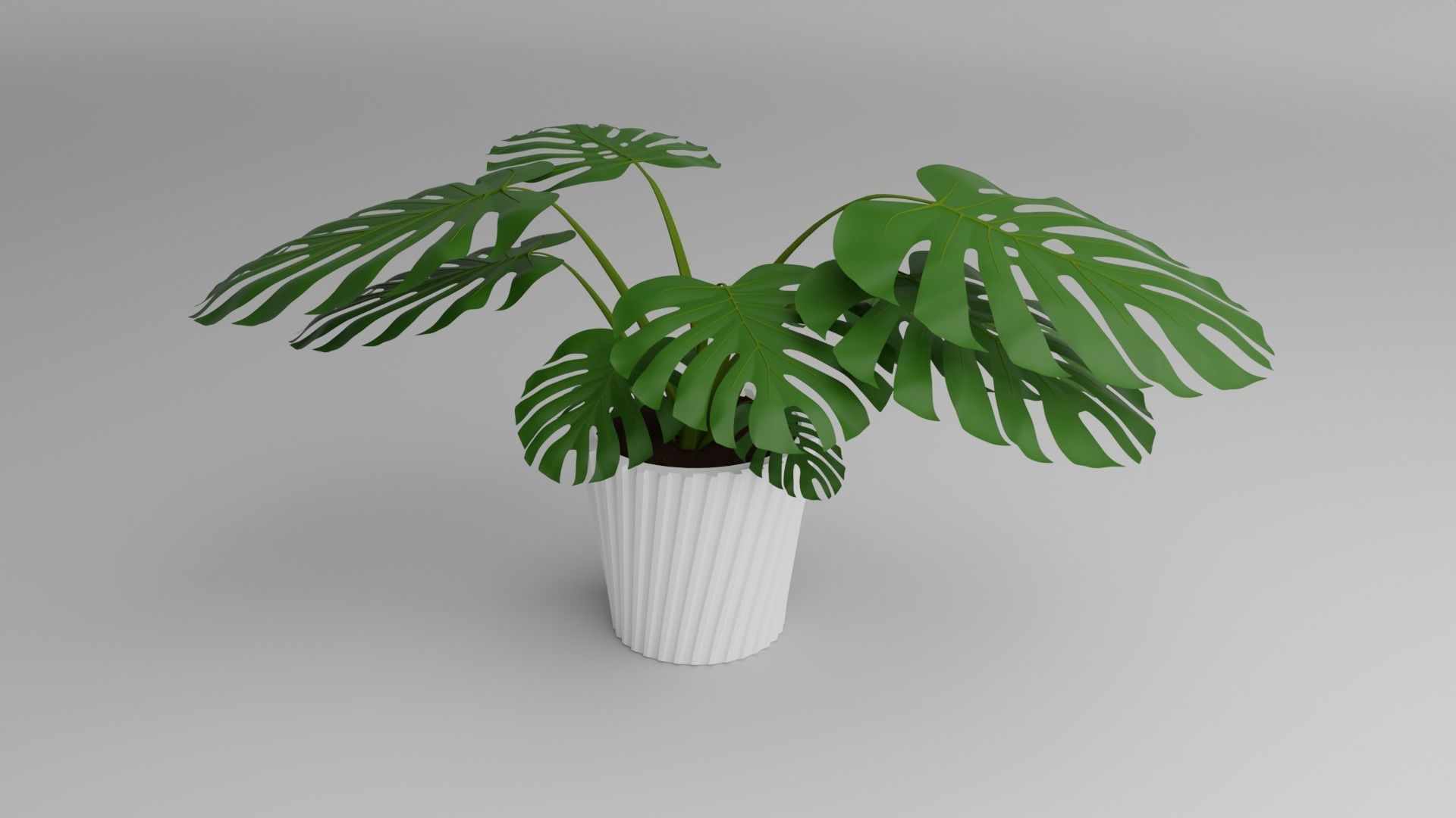Indoor Plant 3D Model Collection_106