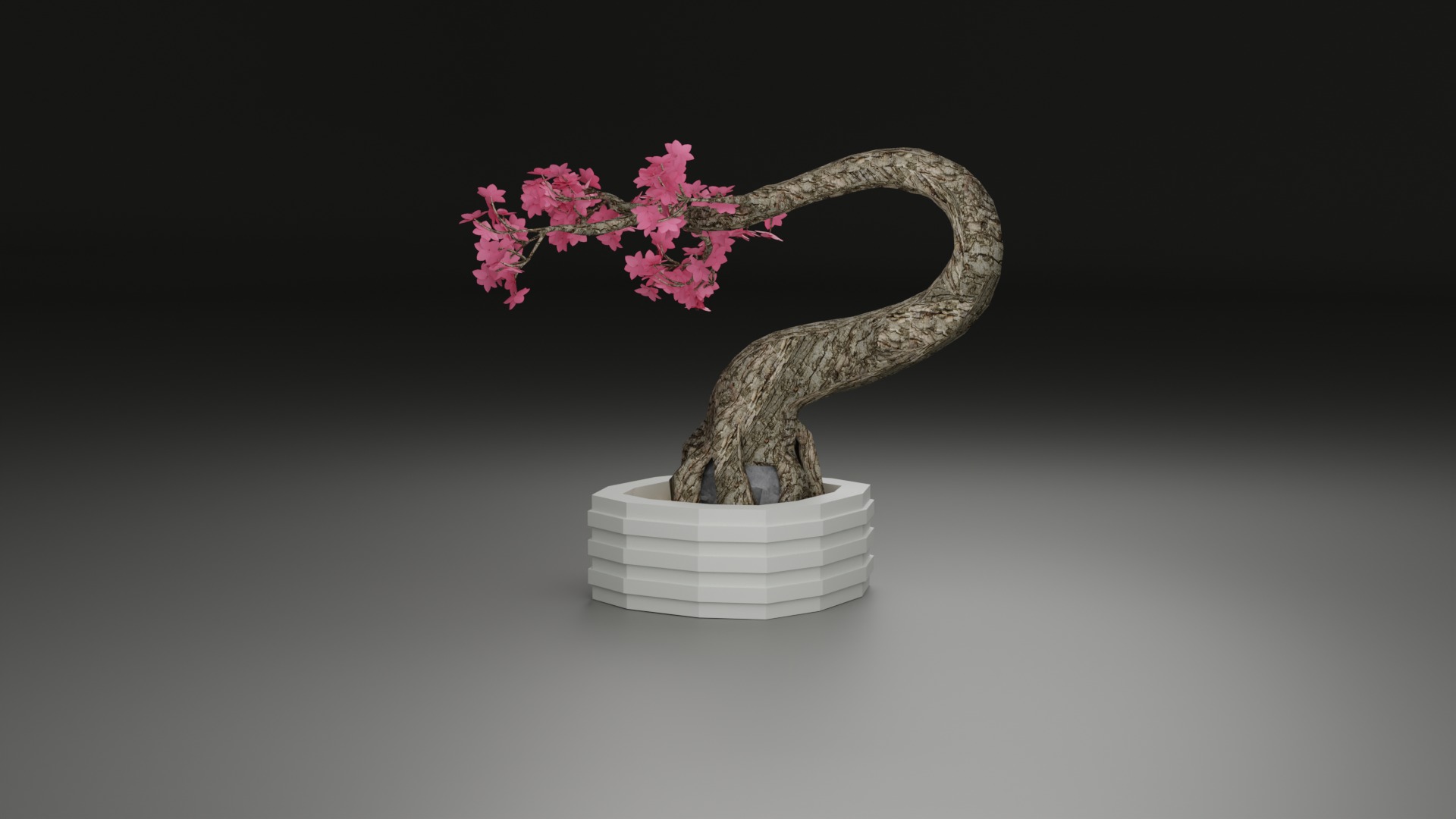 Indoor Plant 3D Model Collection_50