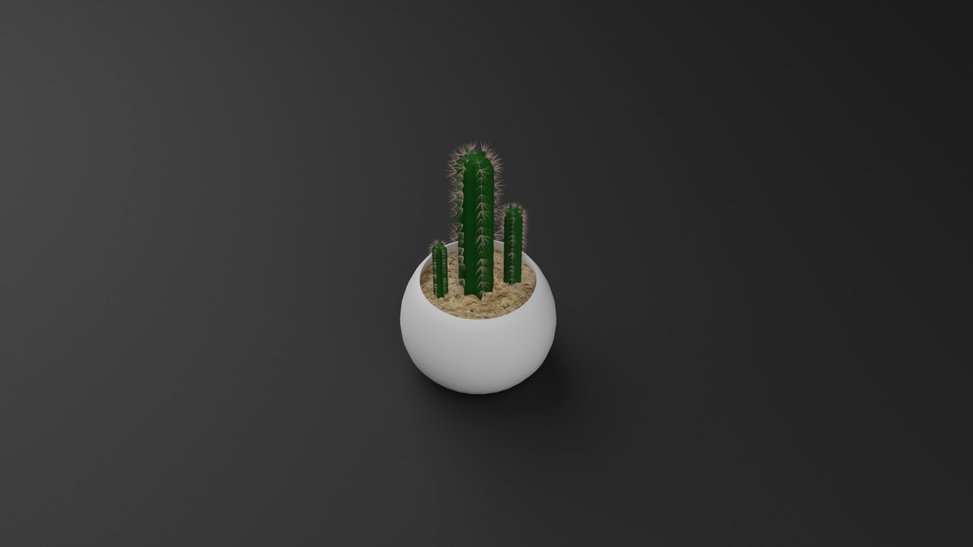 Indoor Plant 3D Model Collection_36