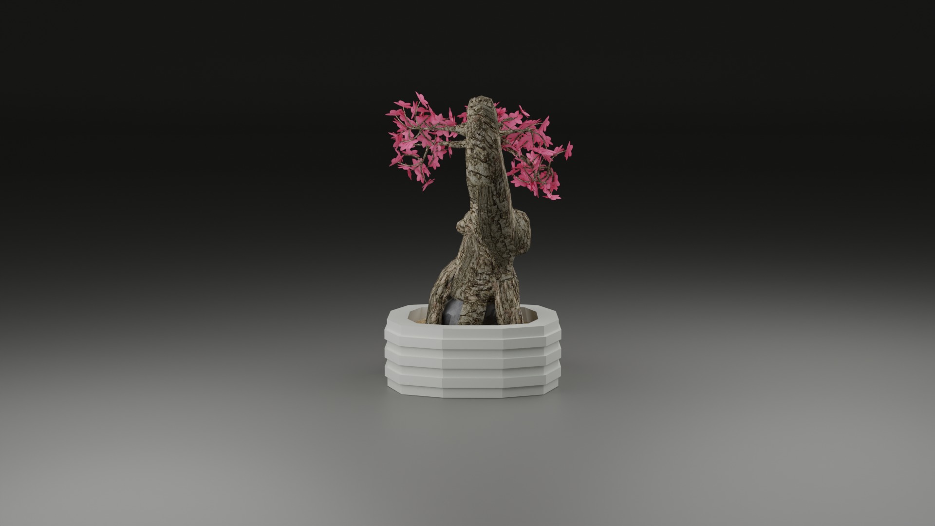 Indoor Plant 3D Model Collection_53