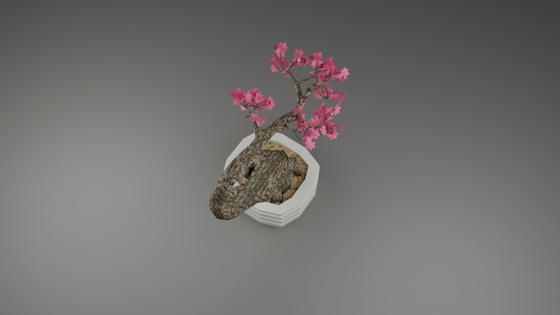 Indoor Plant 3D Model Collection_63